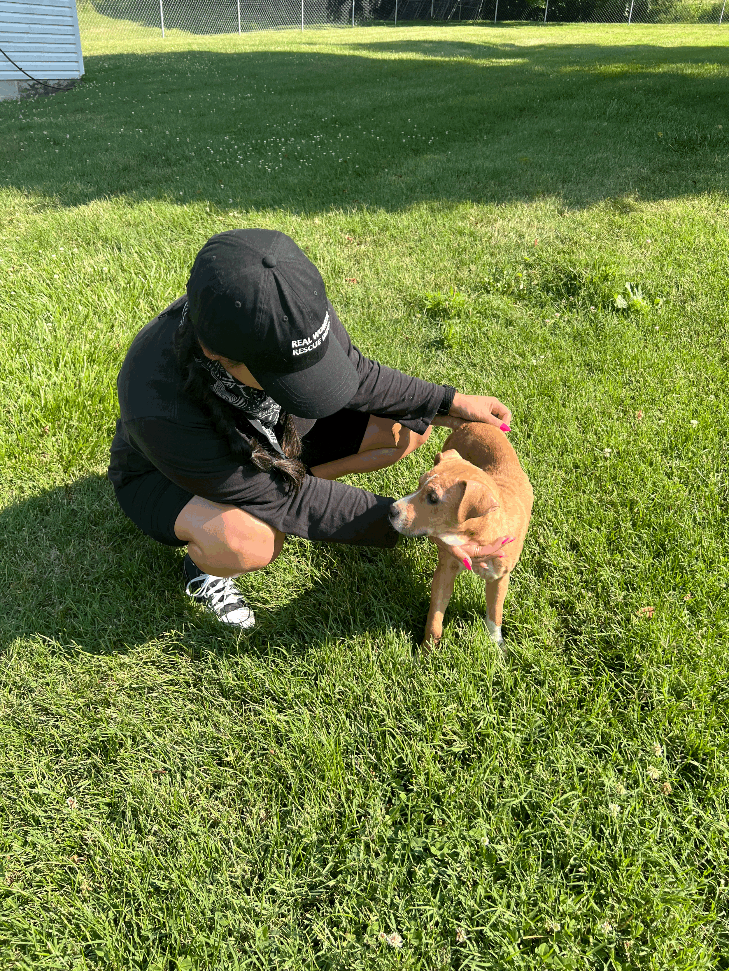 Local On 2 : Health Certificate Day