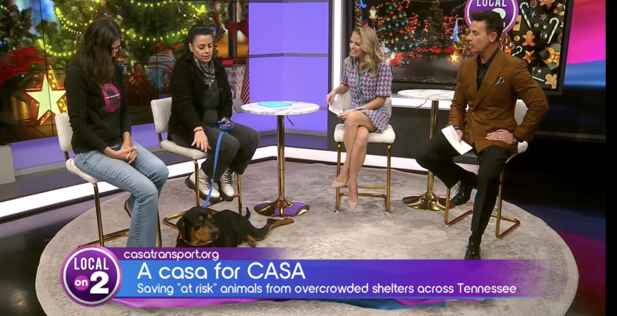 Local On 2: A Casa for CASA