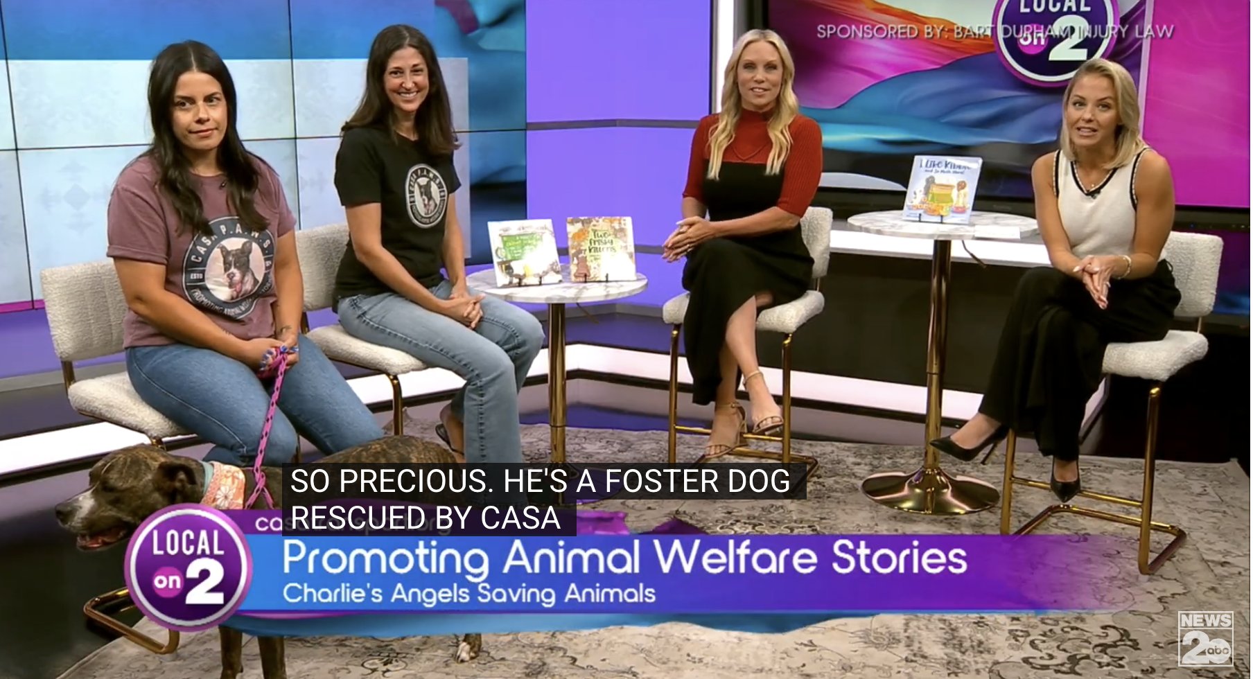 Local On 2: Promoting Animal Welfare Stories