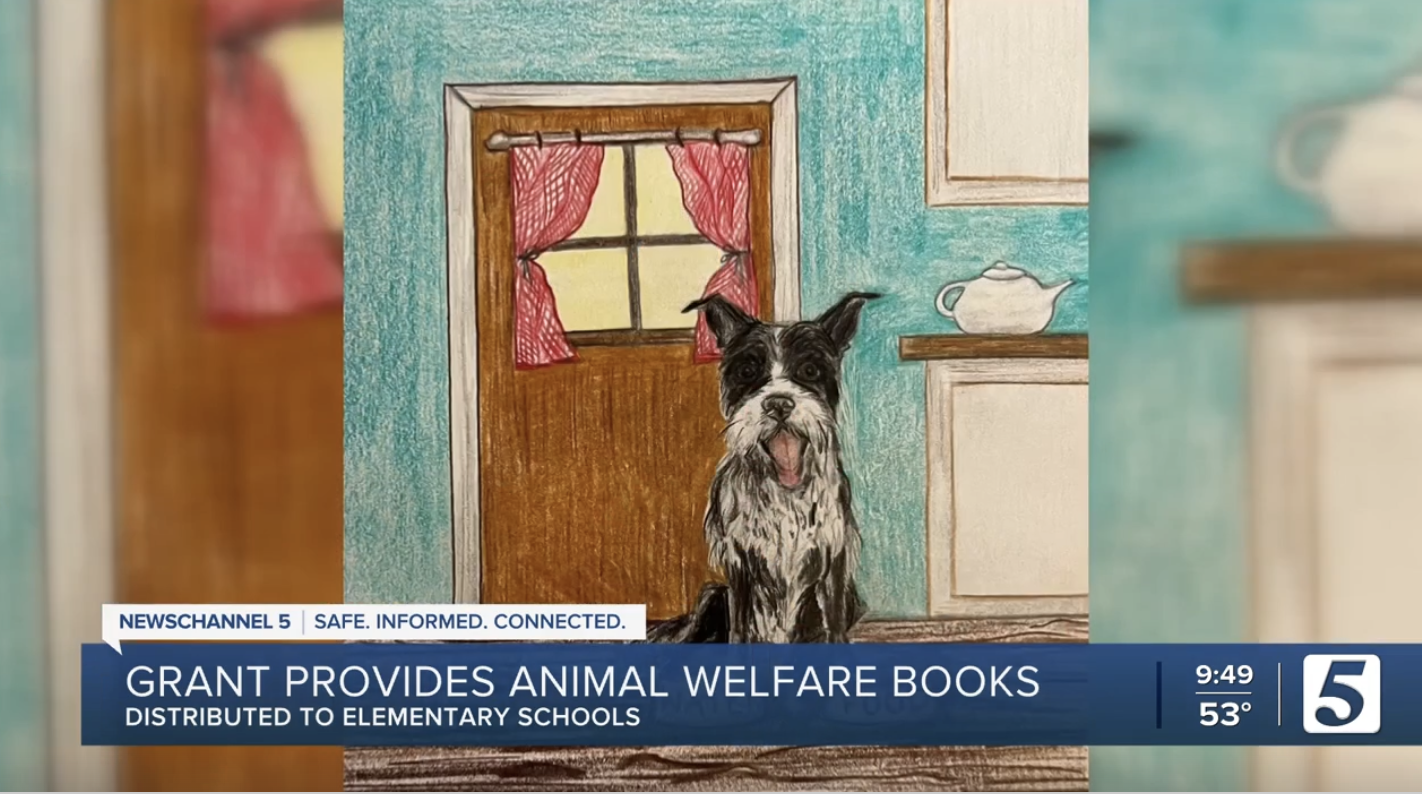 News Channel 5: Let Me Help: Do’s and Don'ts for Pet Care