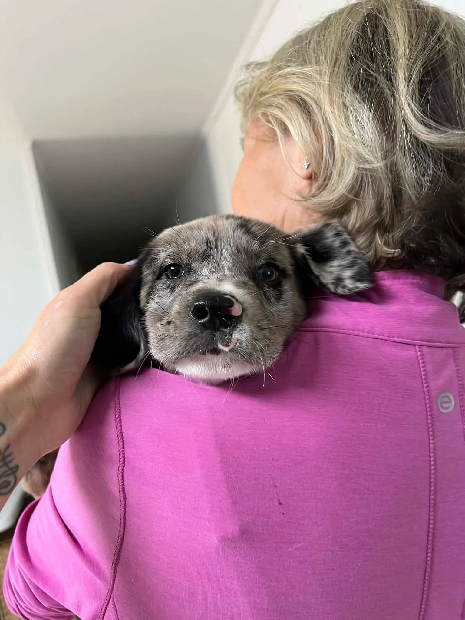 A woman with short gray hair smiling and holding a small brown puppy outdoors on a sunny day, with trees and power lines in the background.