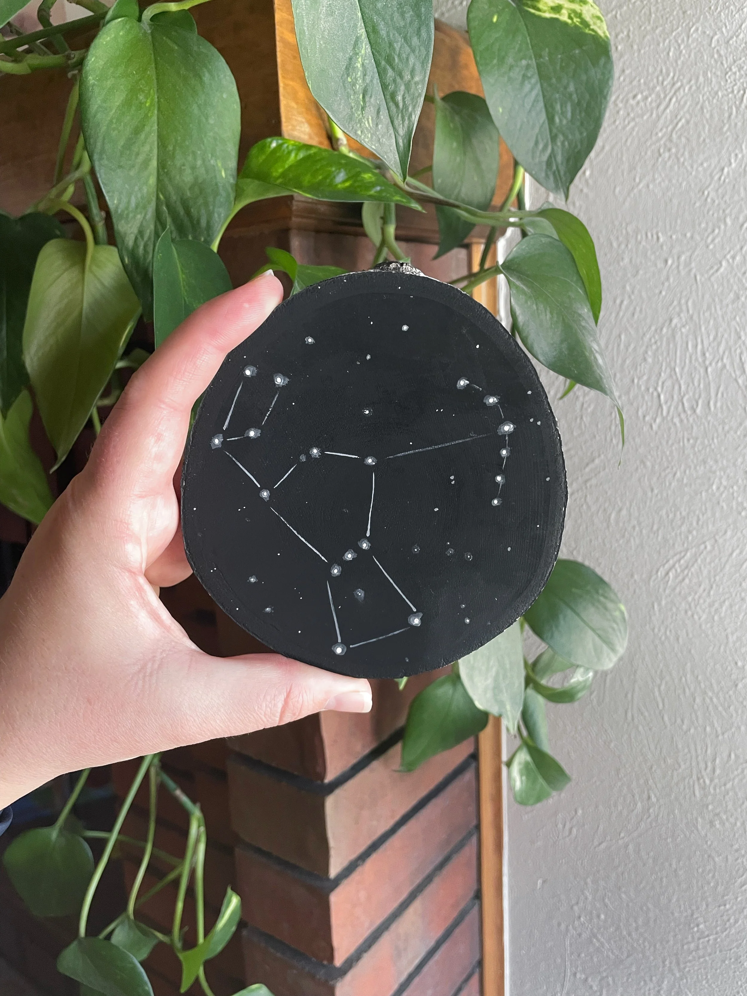 Constellation Wood Slice