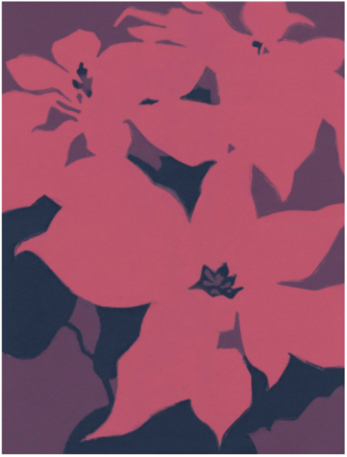 Rachel Burgess: Poinsettia