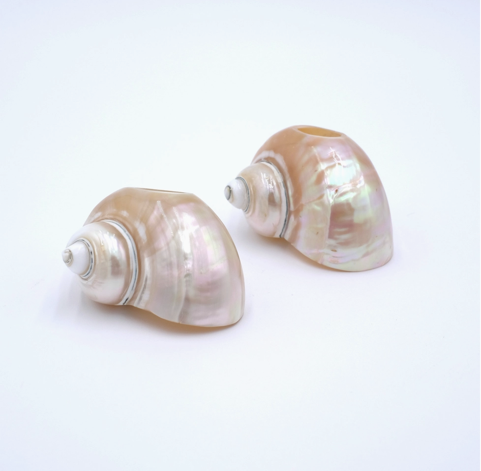 Seashell Napkin Rings, Set of 4