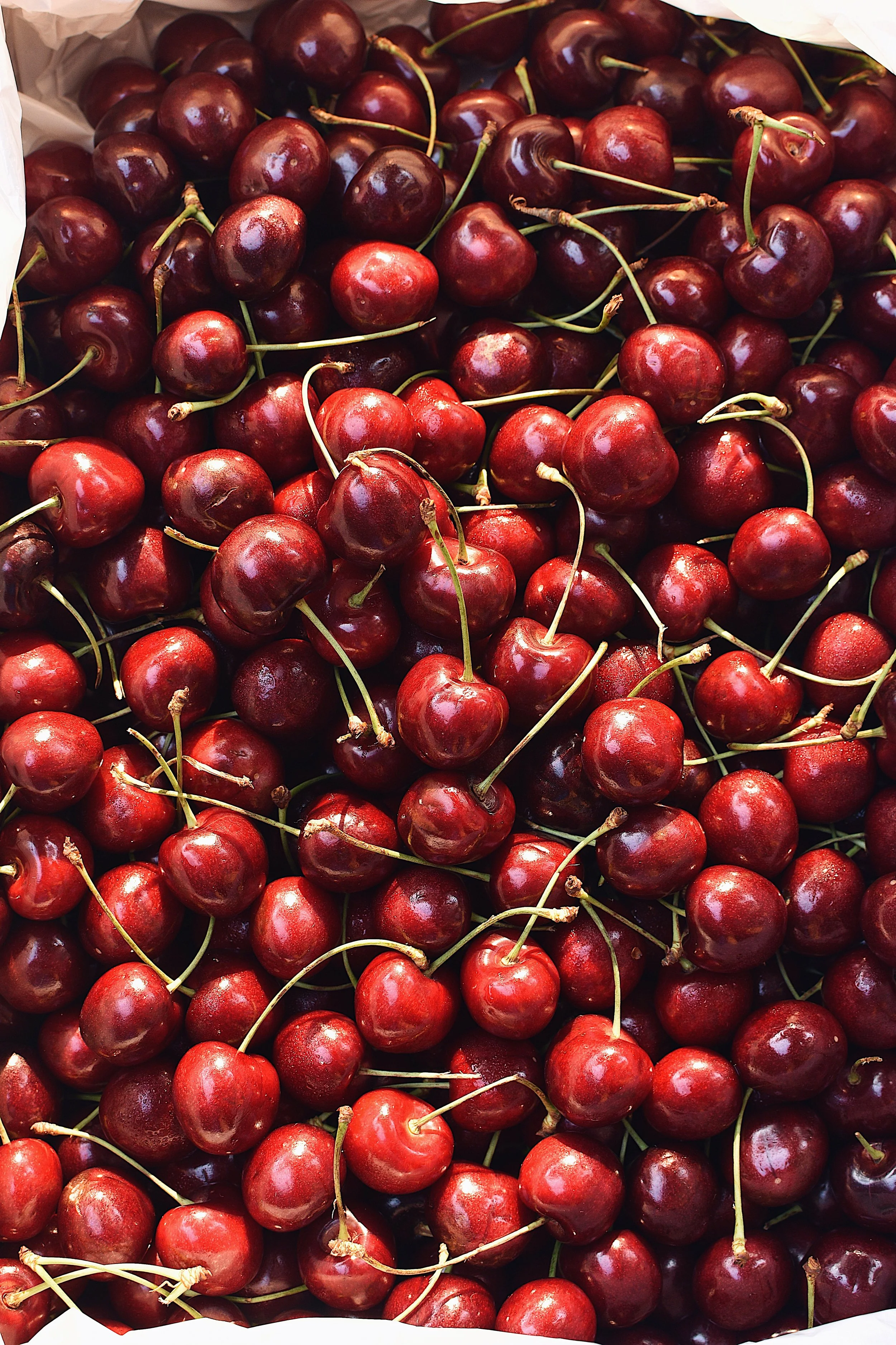 FullSizeRender 8.jpg