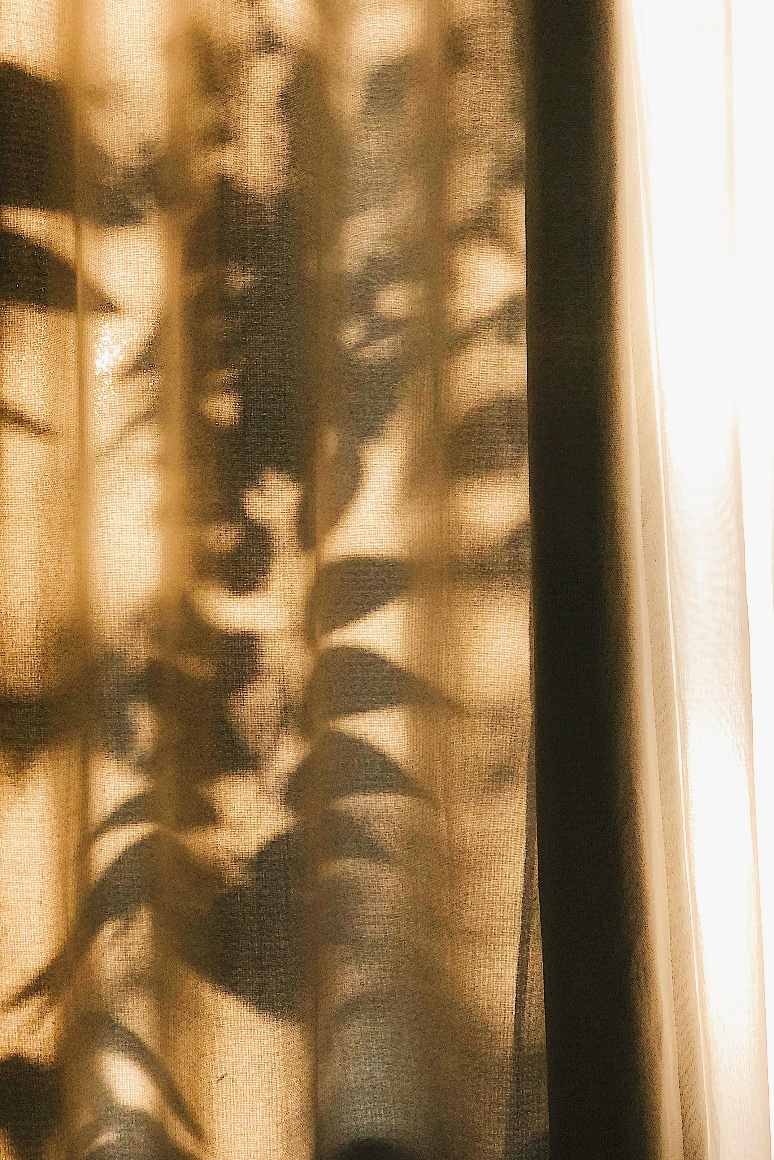 FullSizeRender 6.jpg