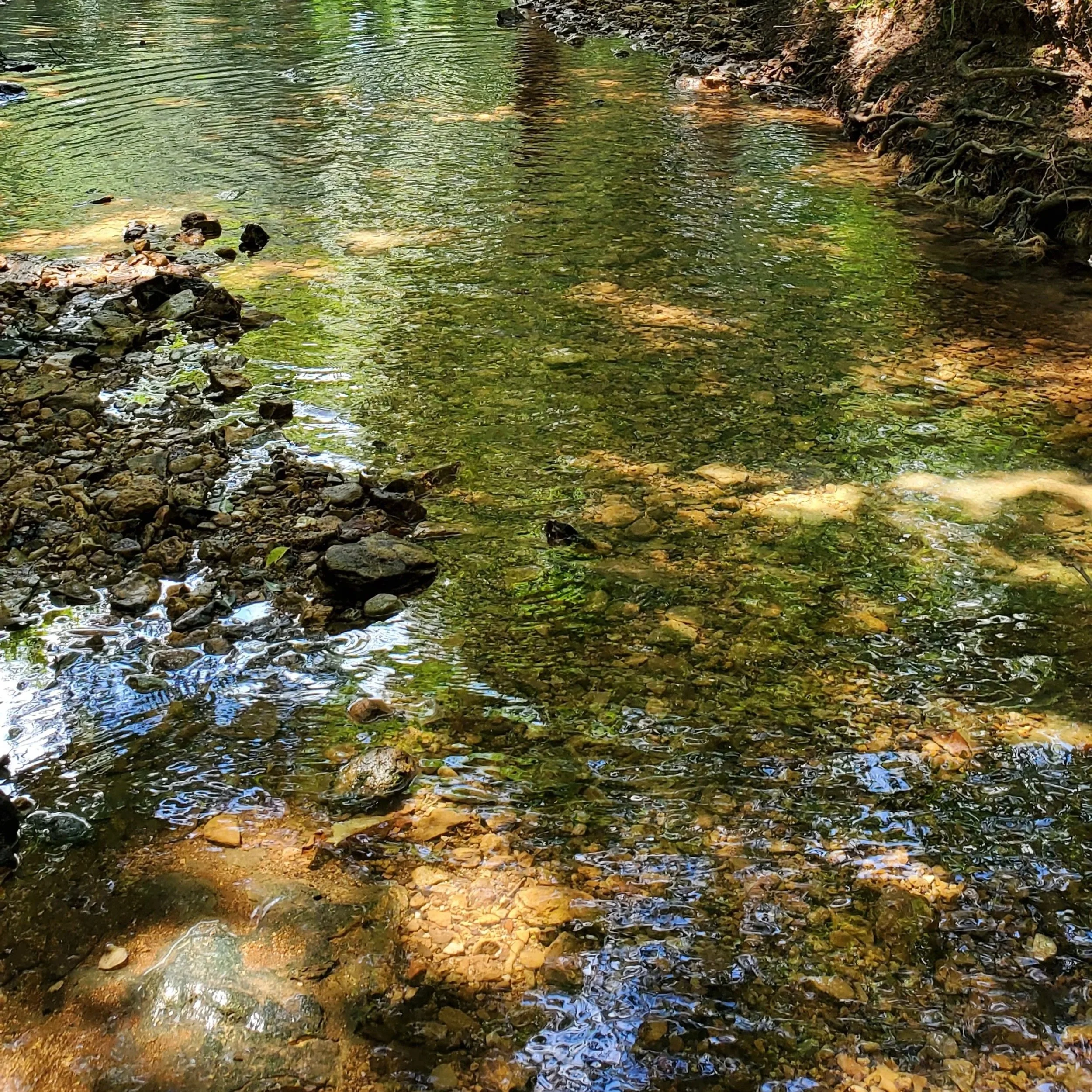 20200809_135427.jpg