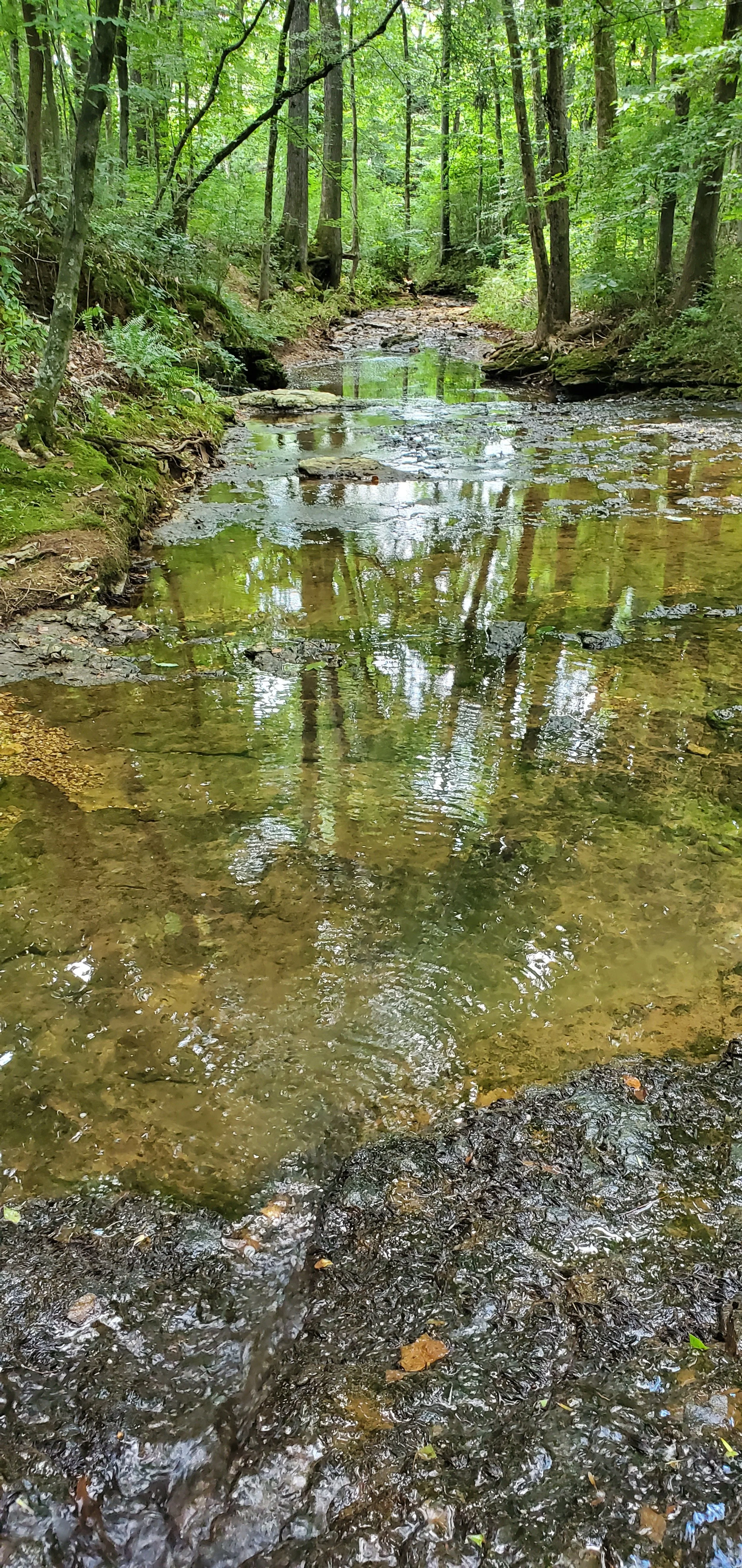 20200809_144421.jpg