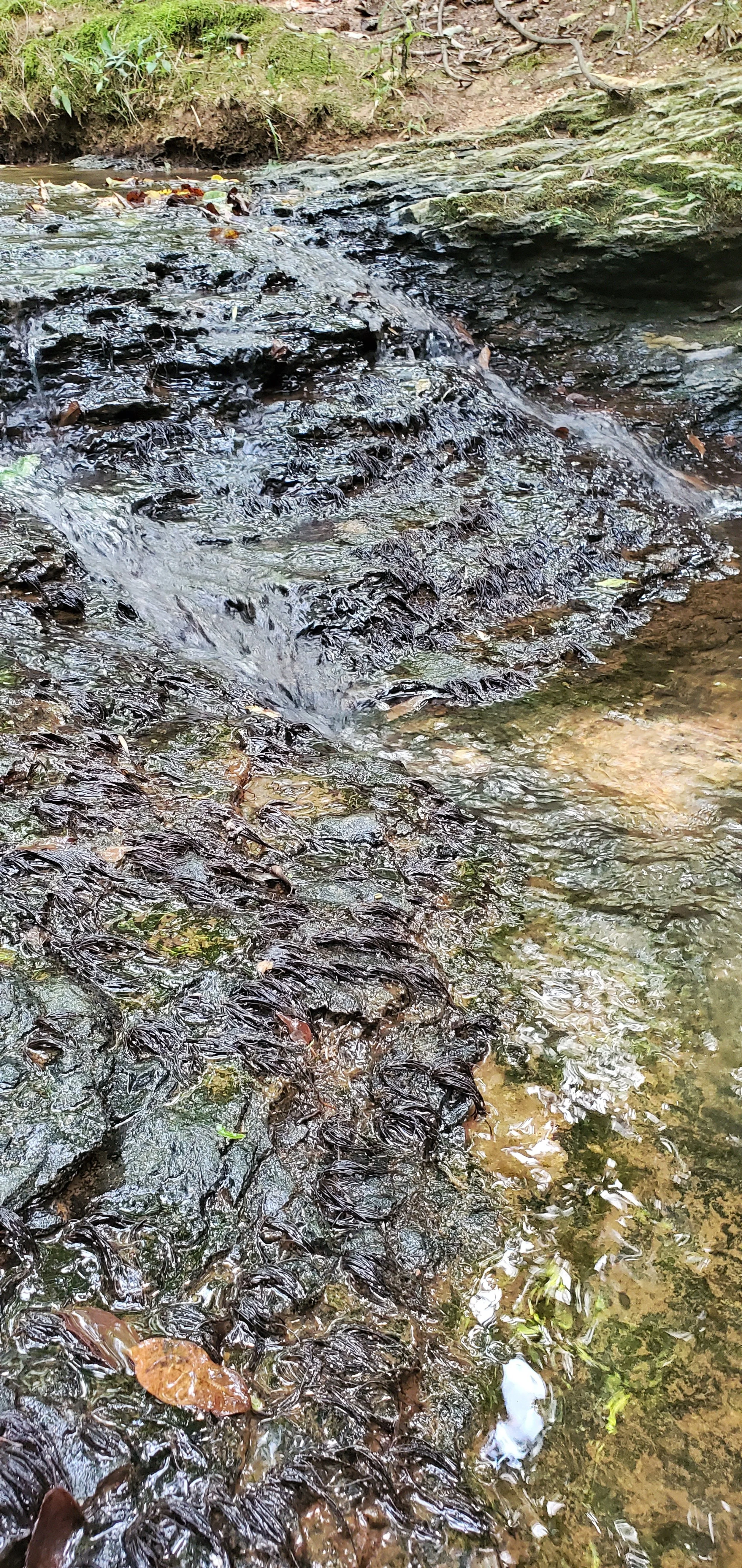 20200809_144537.jpg