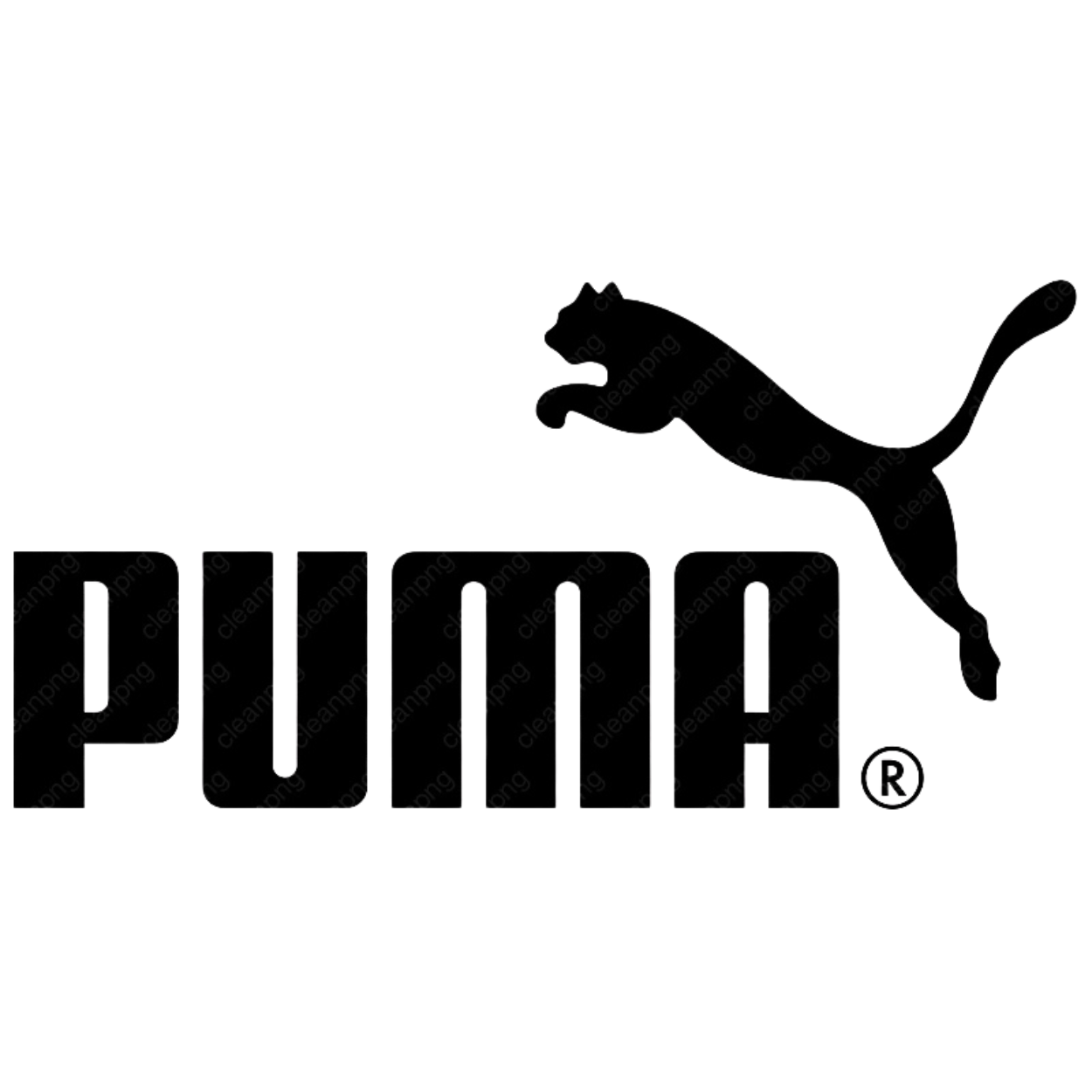 Black silhouette of a lizard on light background.