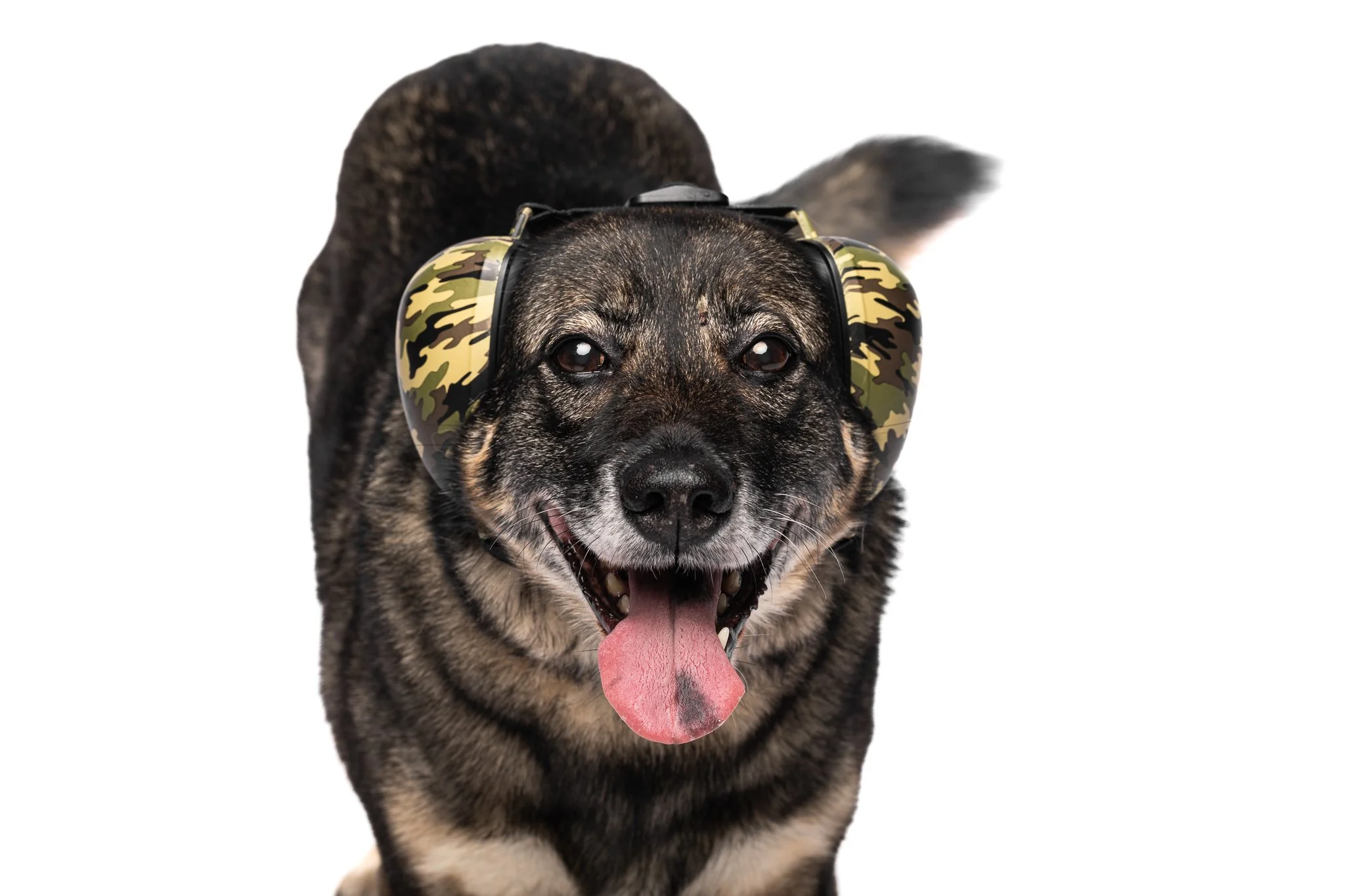 003 (web)_250219 Tootepildid_fotograaf Evelin Elmest.jpg