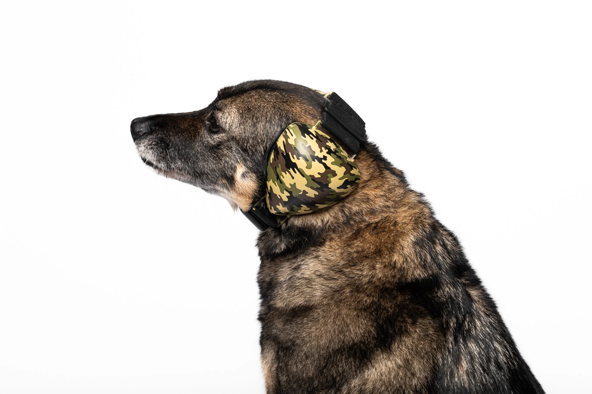 Dog Earmuffs – Noise Reducing Hearing Protection for Dogs