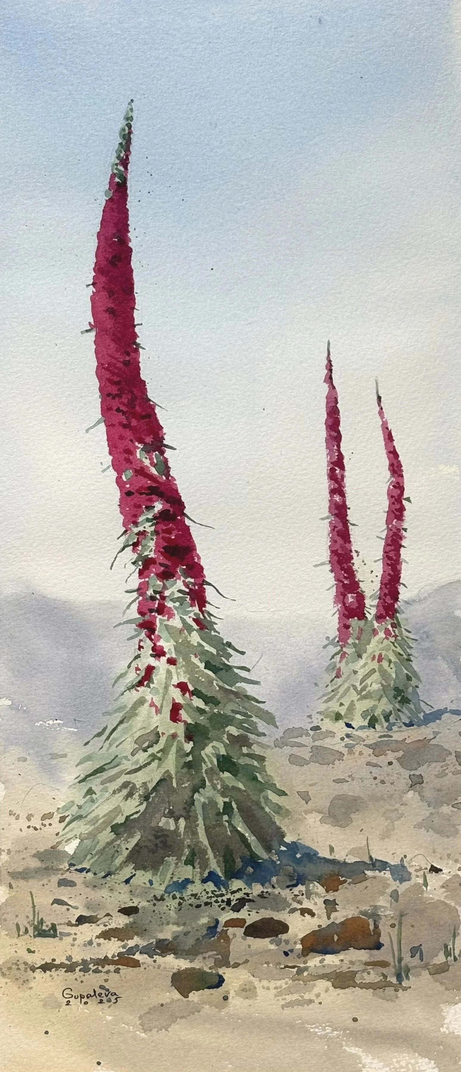 "Rojos Tejinastes del Teide" 2025
38x17cm 
PRECIO: €150