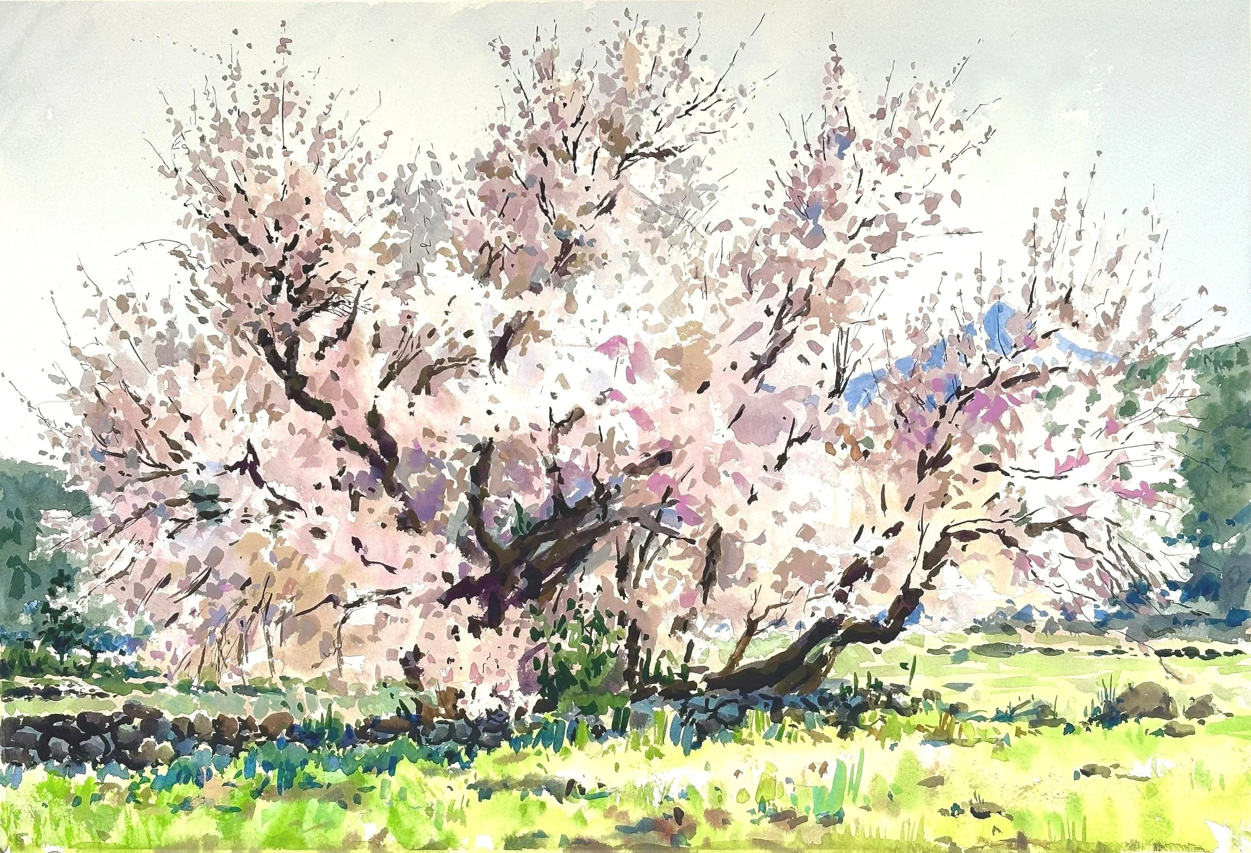 “El almendro en flor con El Teide”
38x56cm
PRECIO: €400