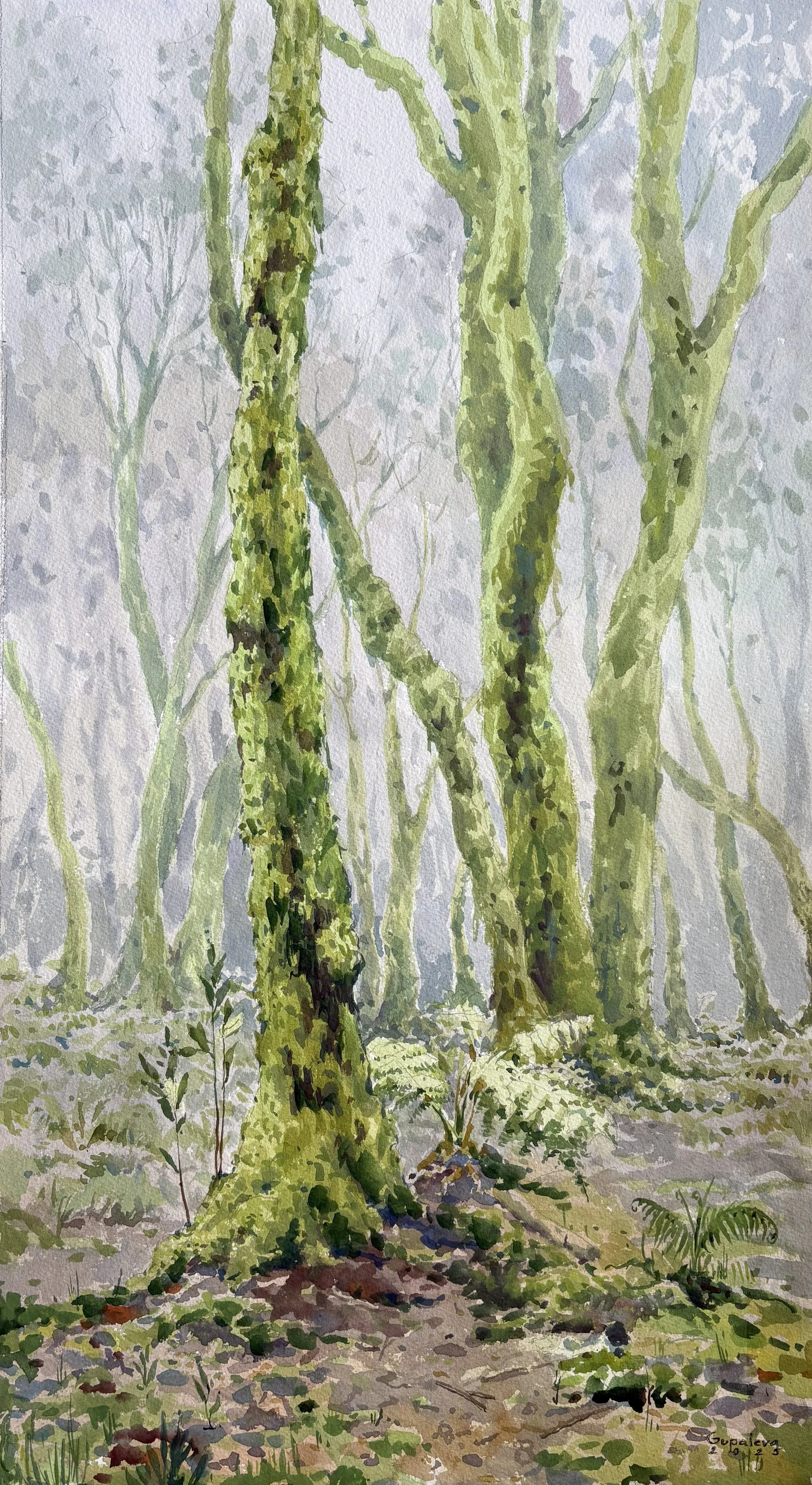 “El parque Rural de Anaga” 2025
64x36 cm
PRECIO: 530€