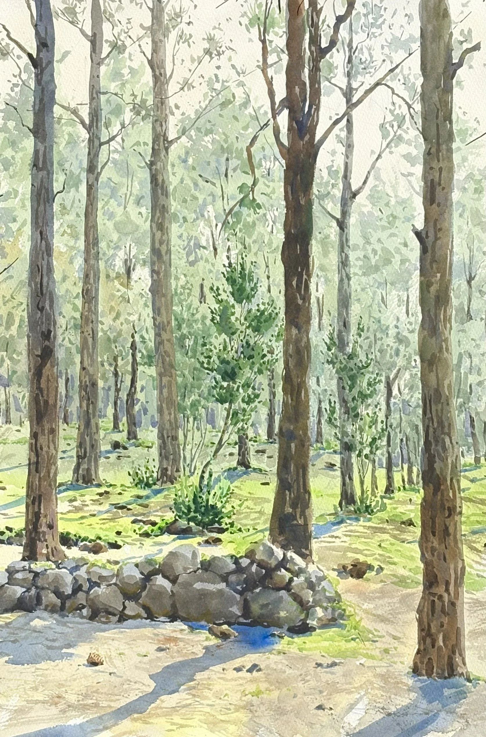 “El bosque de Los Llanos” 2026
38x56 cm
Precio: 400€