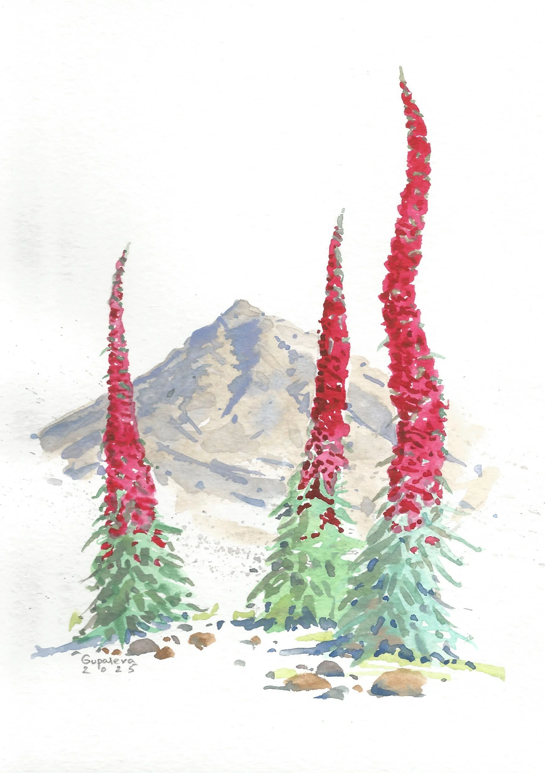 "Teide y Tejinastes"
15x21
PRECIO: 35€