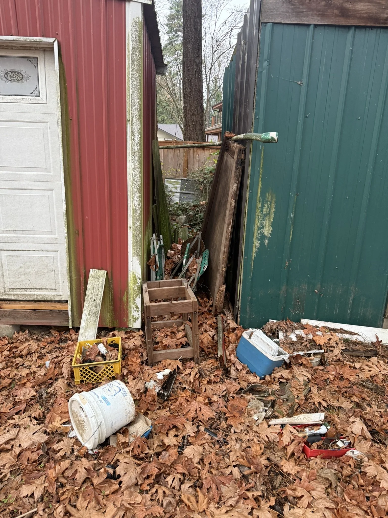 Junk around sheds, estate clean out, property for sale Newberg, OR.
