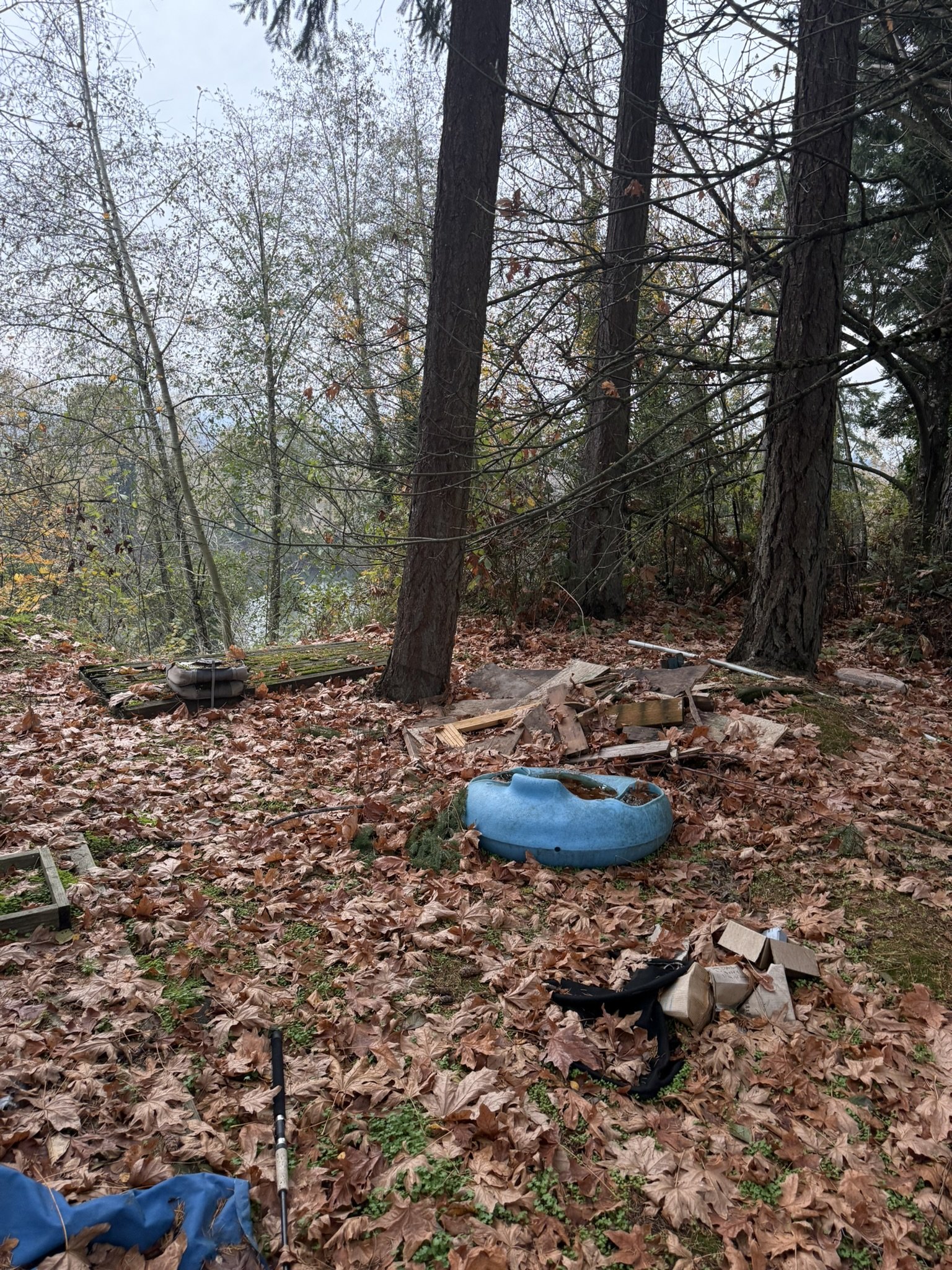 Estate clean out at property listed for sale Newberg, OR