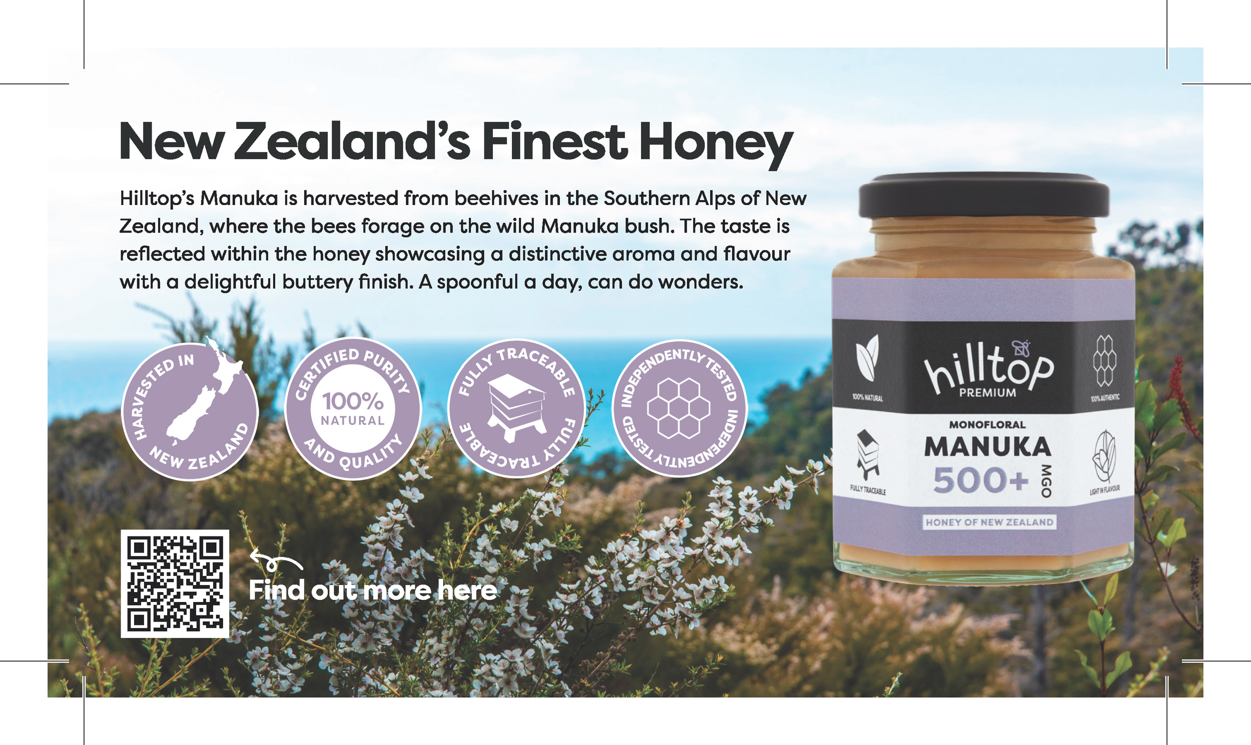 Hilltop Tearoff Design_Print.png