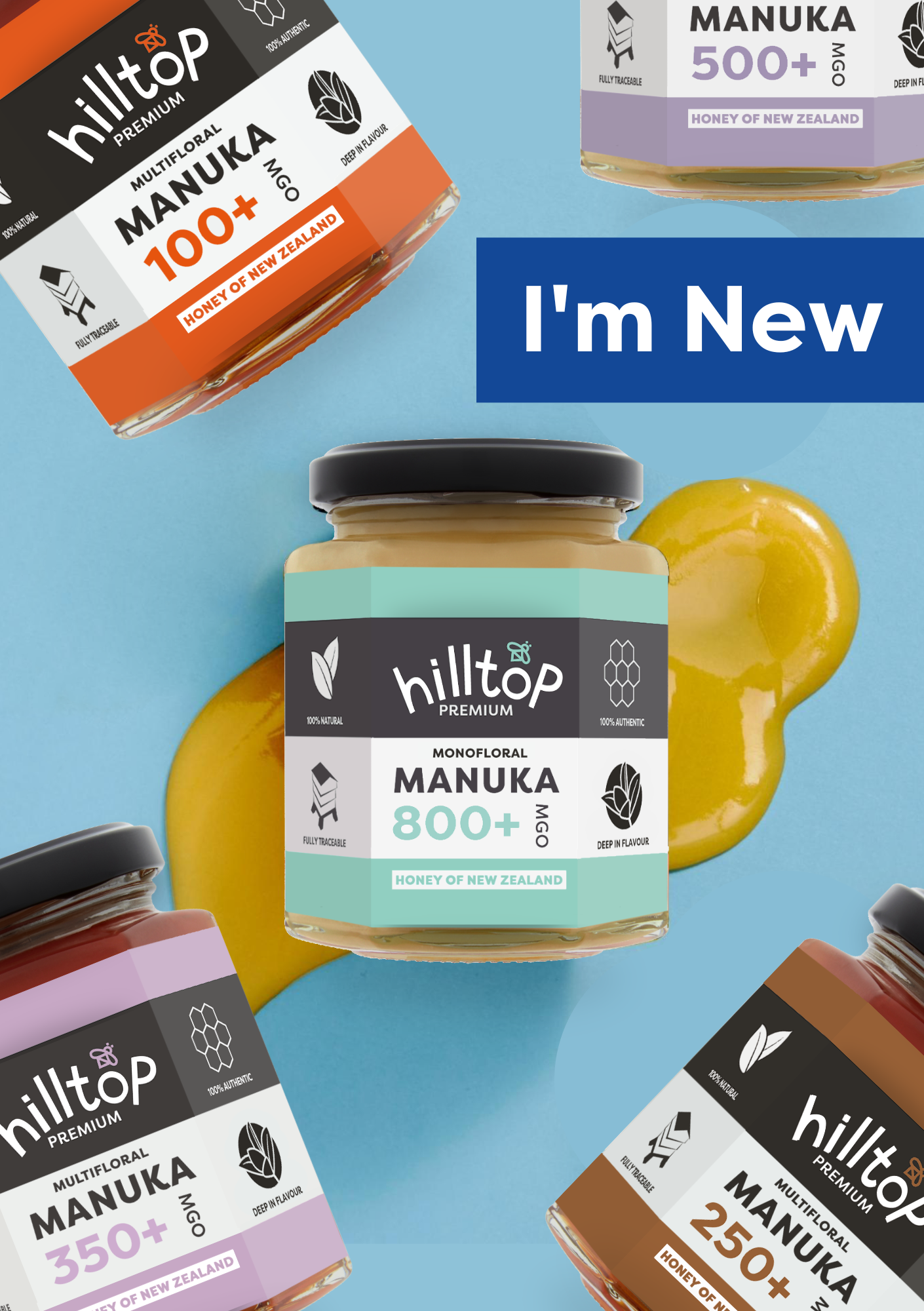 St David's Day Event Leaflet.png