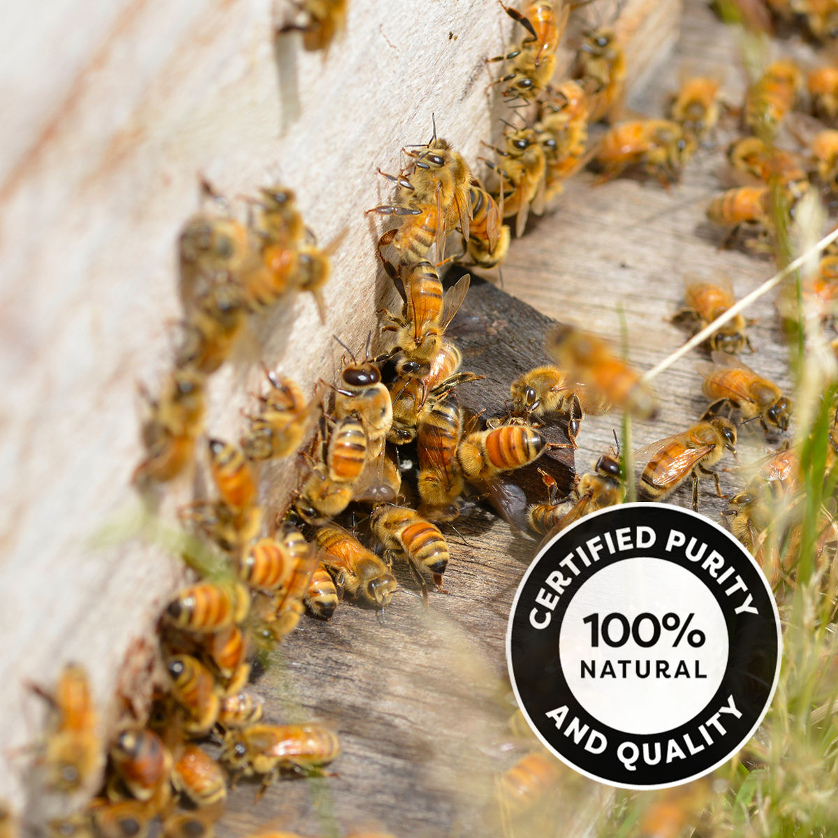 Certified Purity.png