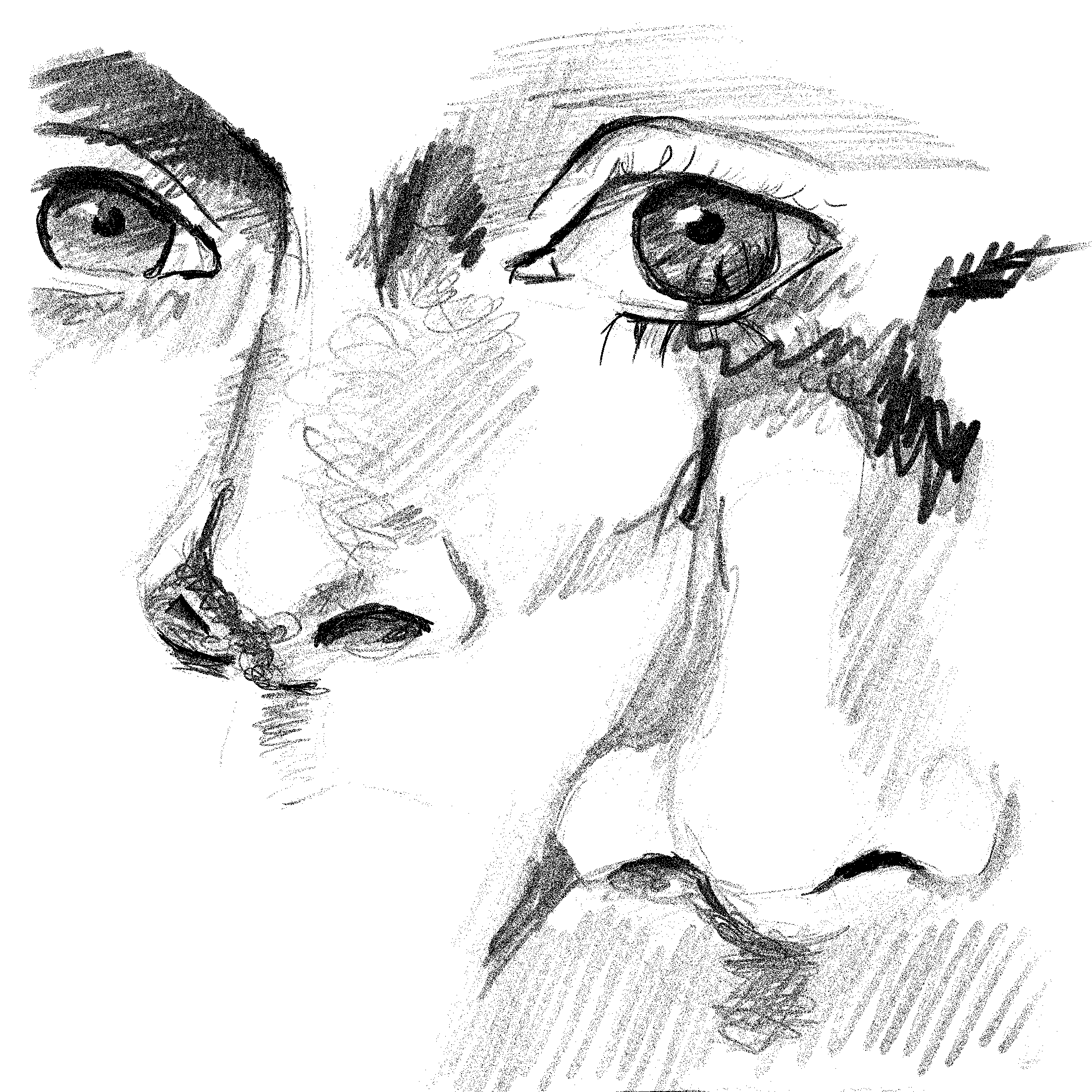 Olfactory Obsessions