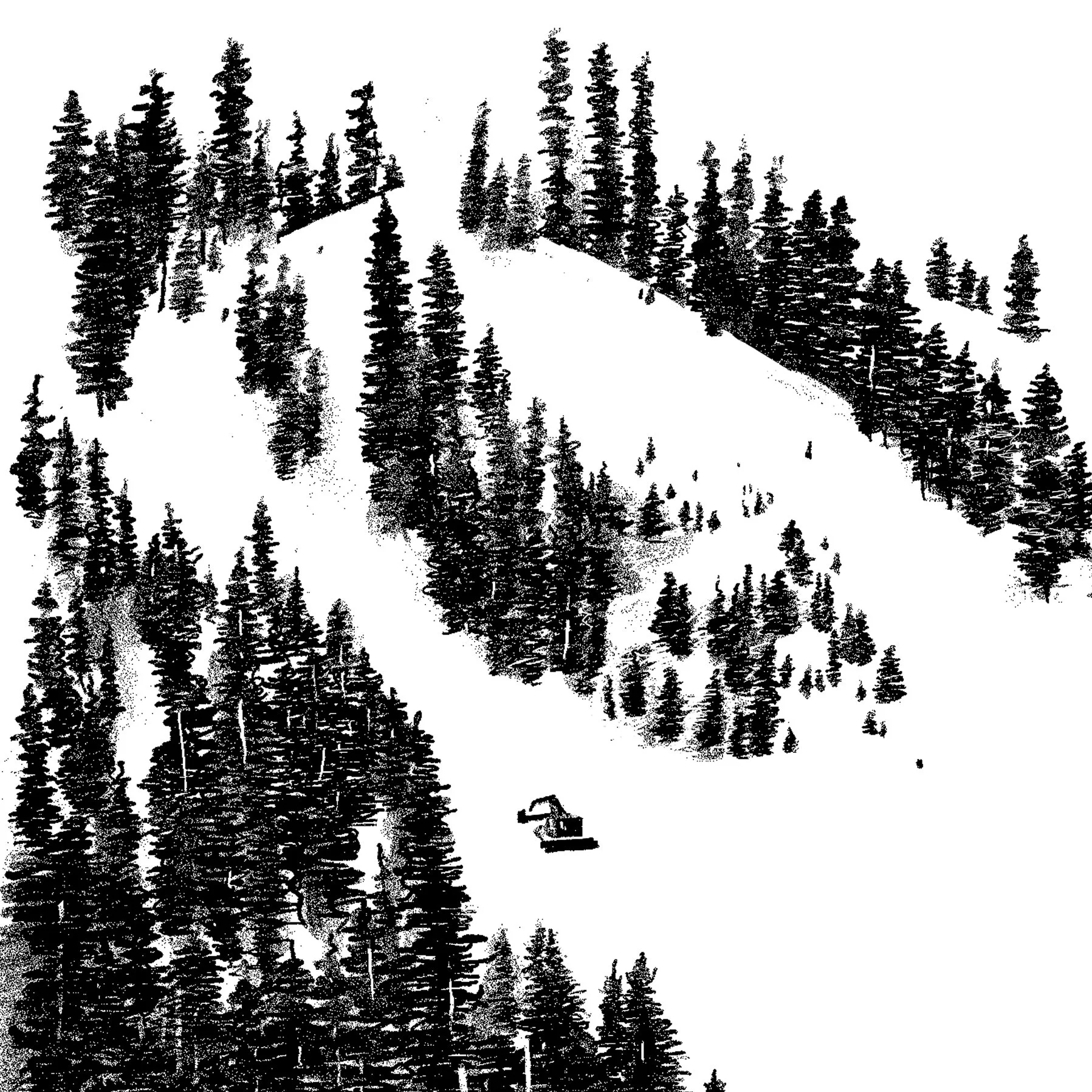 Snowboarding Scenes: Palisades Groomer