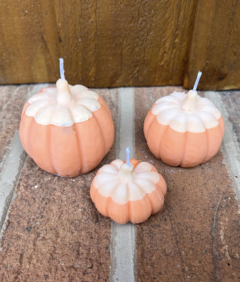 Seasonal Pumpkin Trio