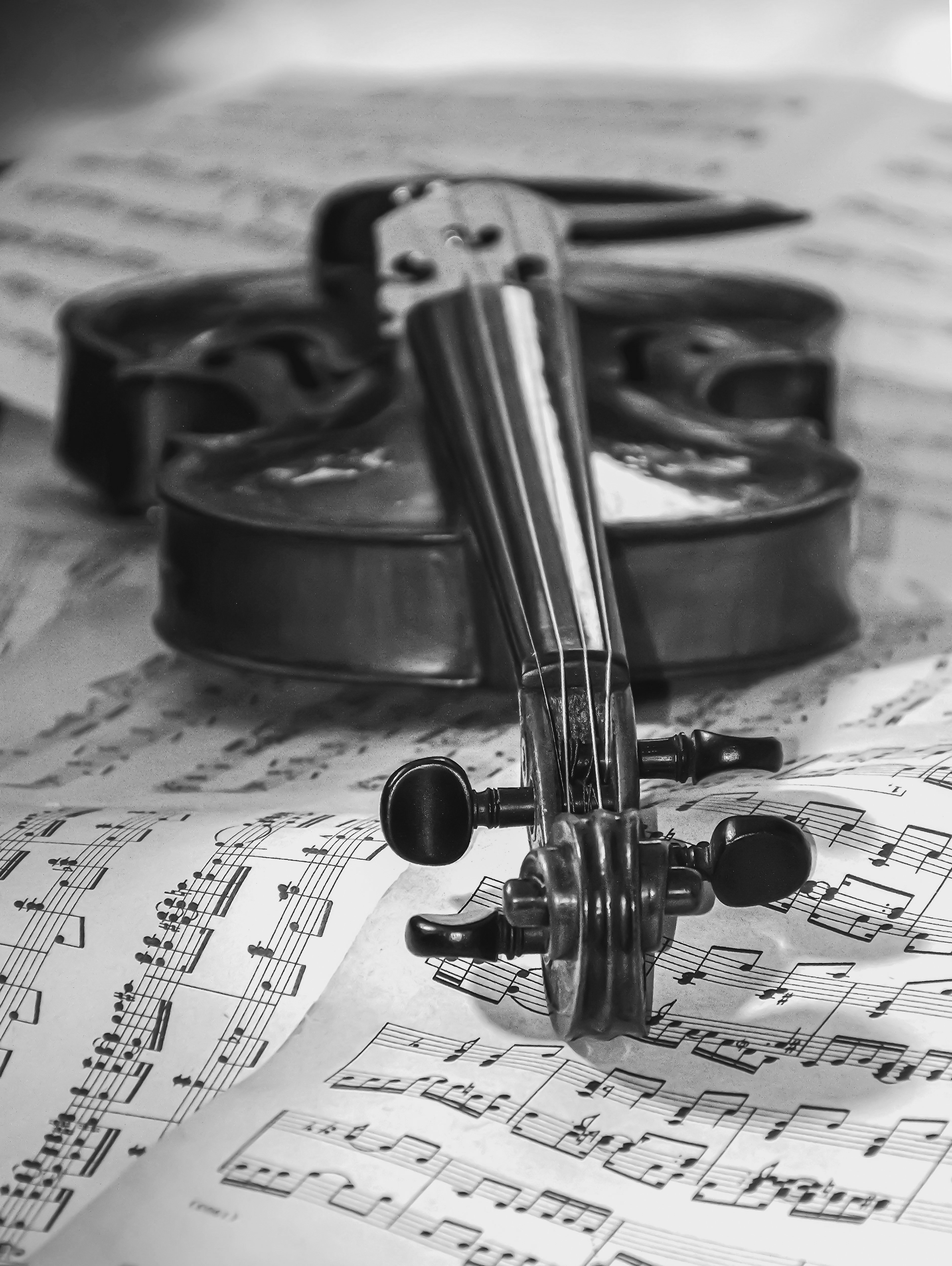 Récitals de fin d'études : classique  à contemporain, formation musicale et direction d'ensembles