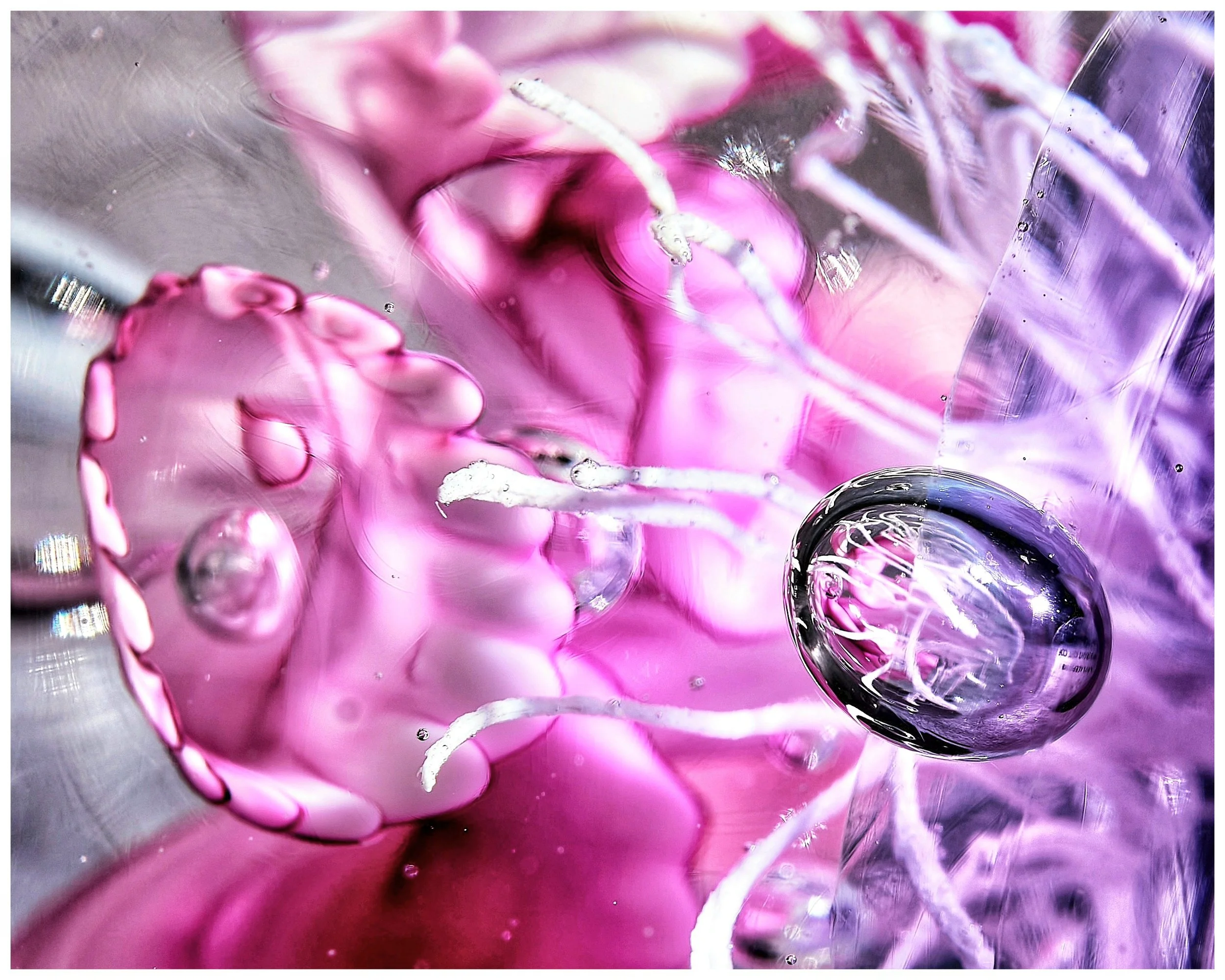 The Living Glass.jpg