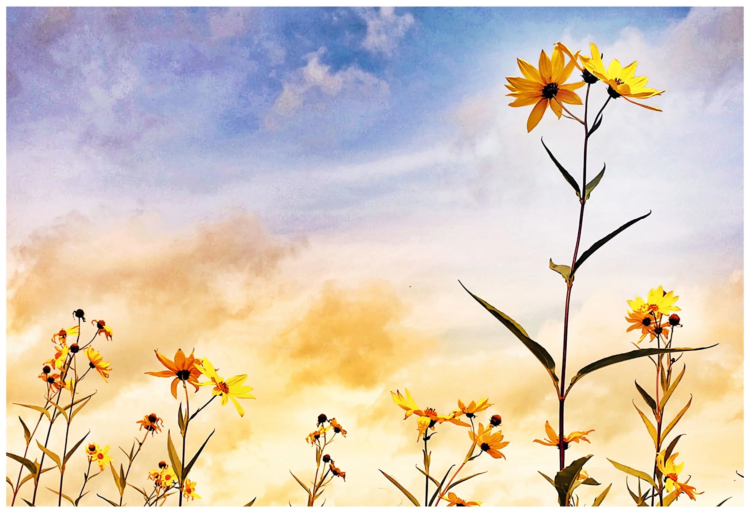 Reach for the Light.jpg