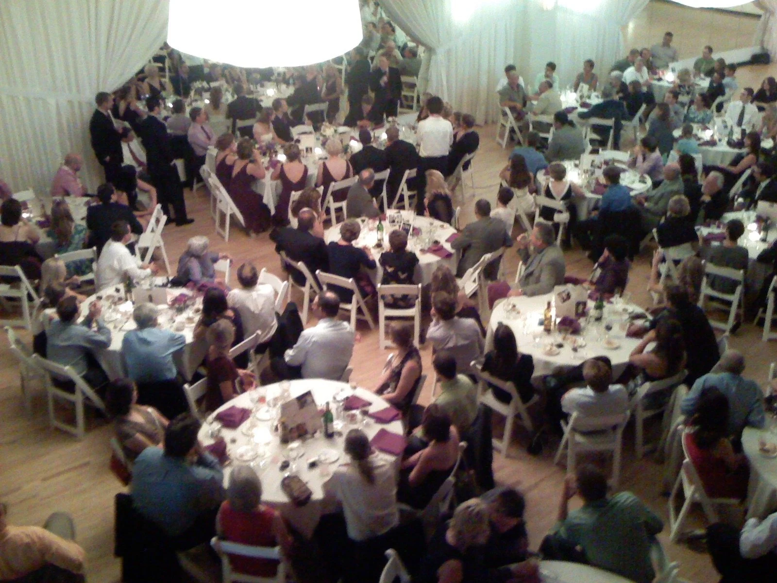 IMG_0133_3.jpg
