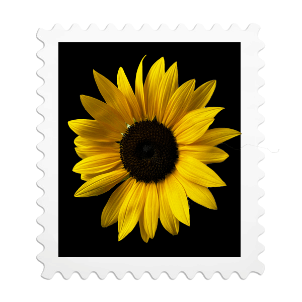 A bright yellow sunflower with a dark center against a black background, designed to look like a postage stamp.