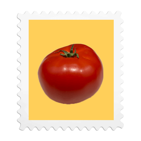 A fresh red tomato with green stem on a yellow background
