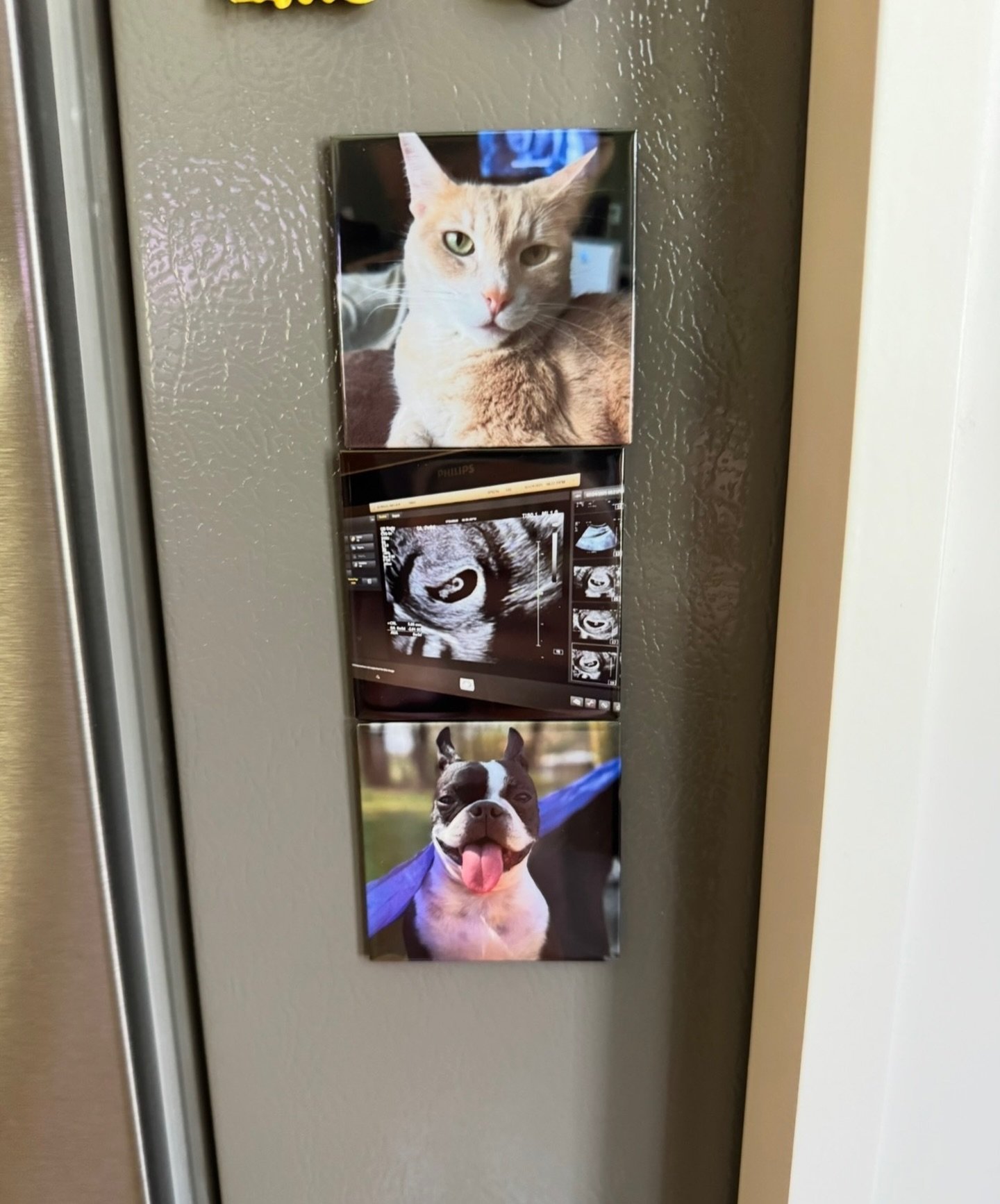 Your mom called&hellip; she wants custom magnets for Mother&rsquo;s Day 🫶🏼 💓

Looking for a meaningful, one-of-a-kind gift? 💕 Turn your favorite memories into beautiful custom magnets, perfect for Mom&rsquo;s fridge, office, or anywhere she loves
