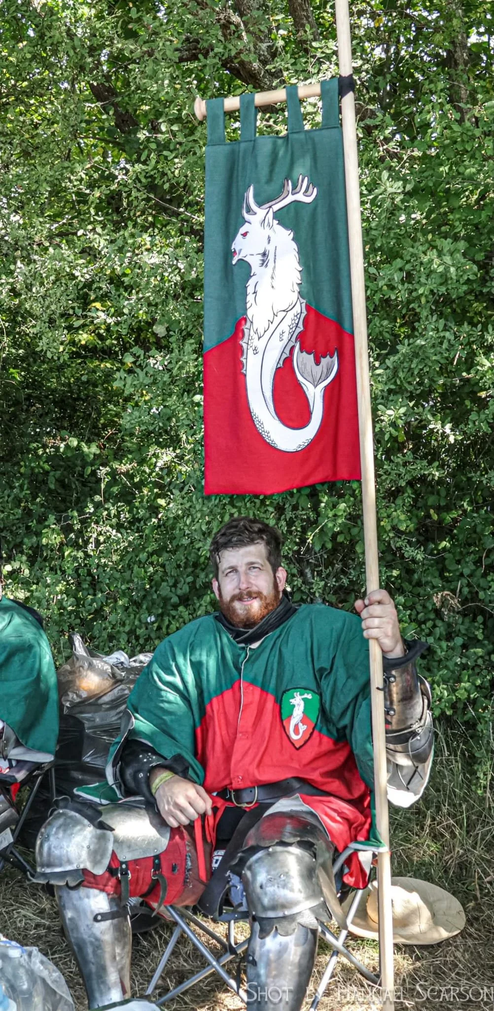 A man with a beard and curly hair wearing a green and red medieval-style costume with armor on his knees, sitting outdoors in front of green bushes, holding a flag with a white mythical creature that has a dragon's body and a deer head, on a backgrou