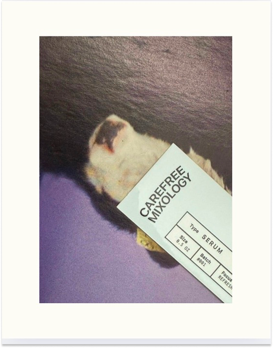 Close-up of a small dog with a care-free expression holding a vial labeled 'Carefree Mixology' and a small paper with details about a serum type.