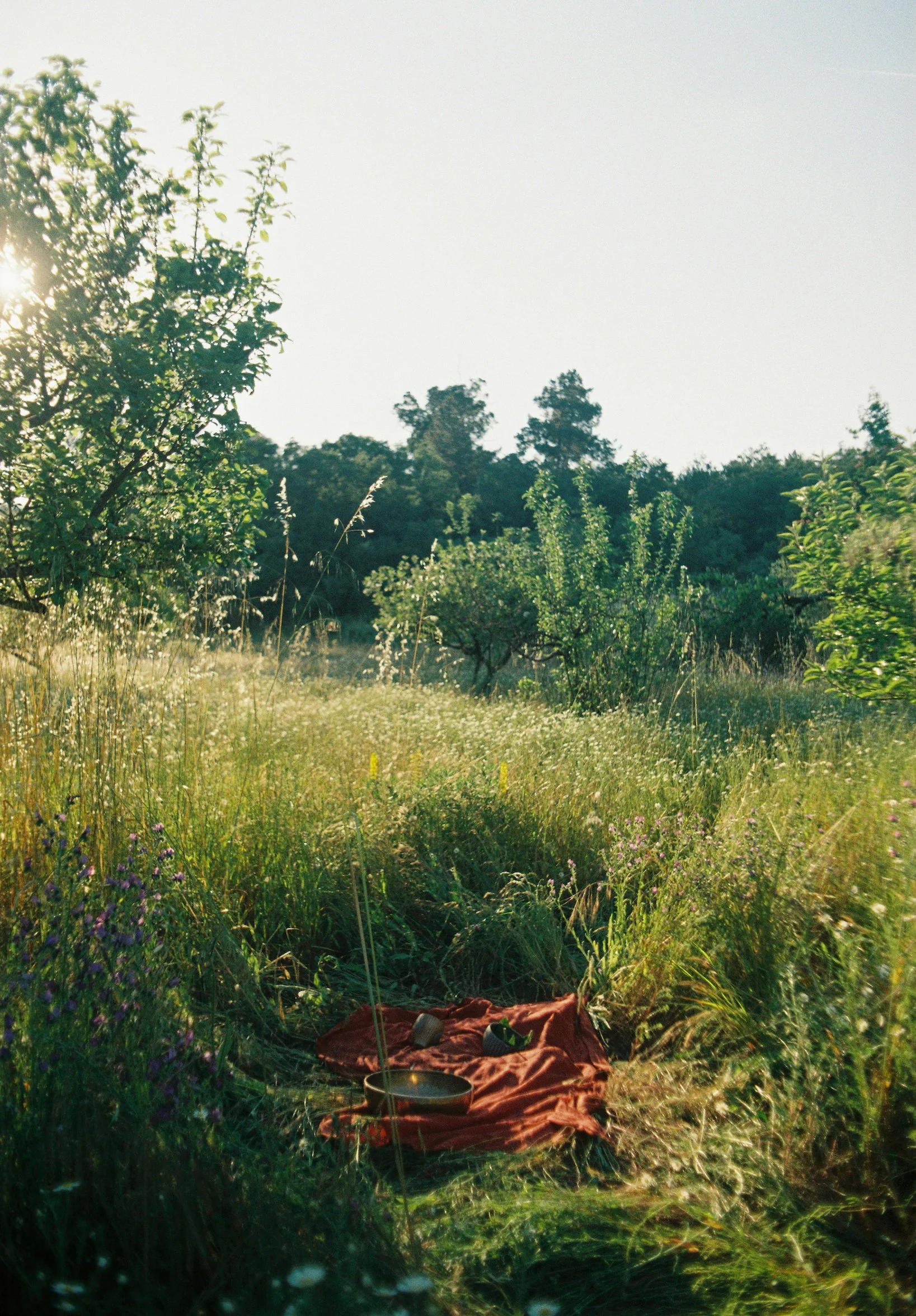 Wildland camp