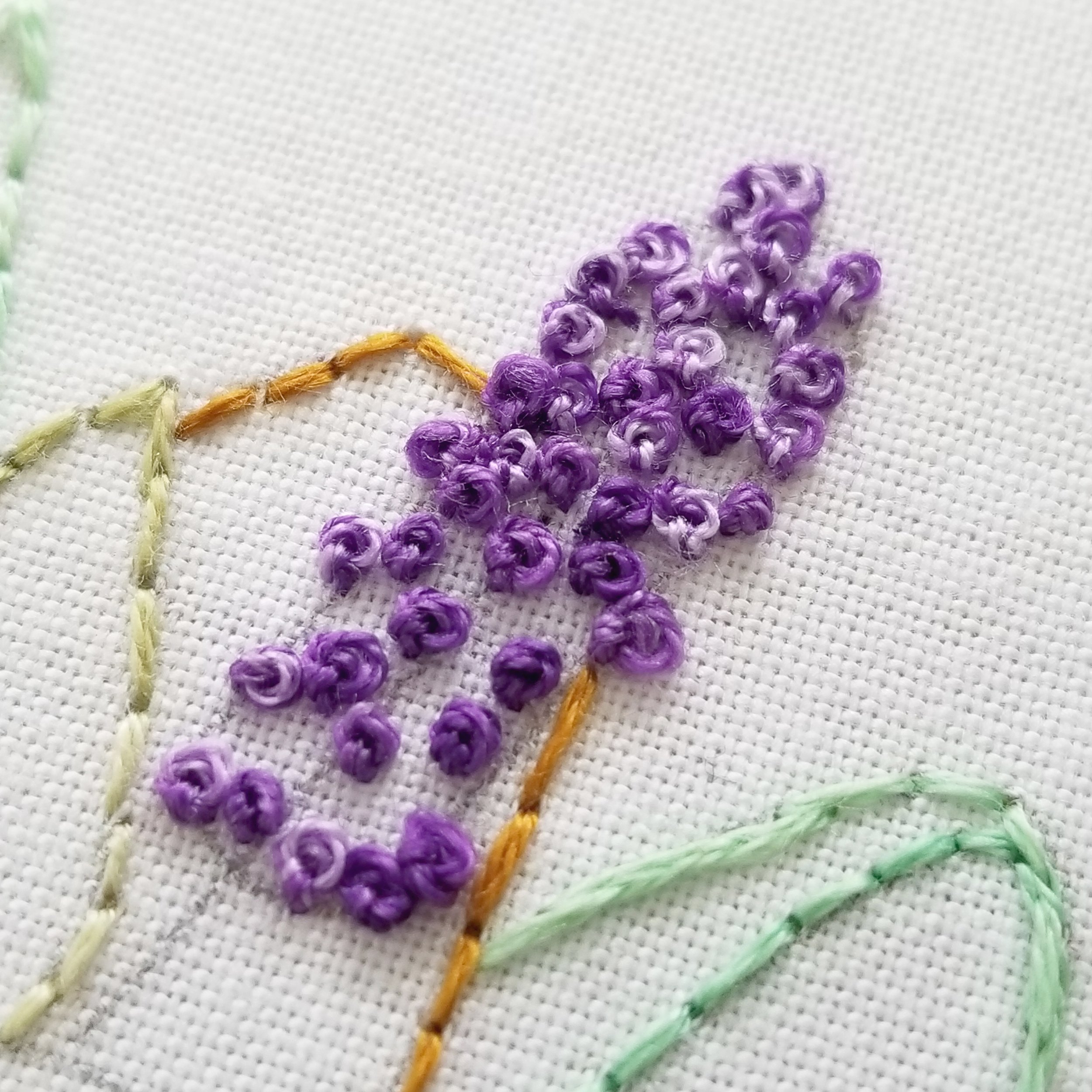 french knot fill.jpg