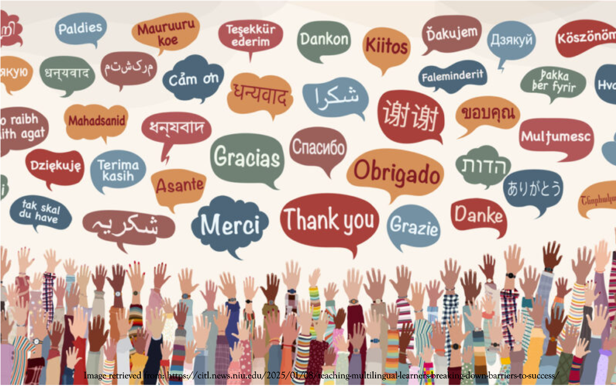 Supporting Multilingual Learners (WHAT)