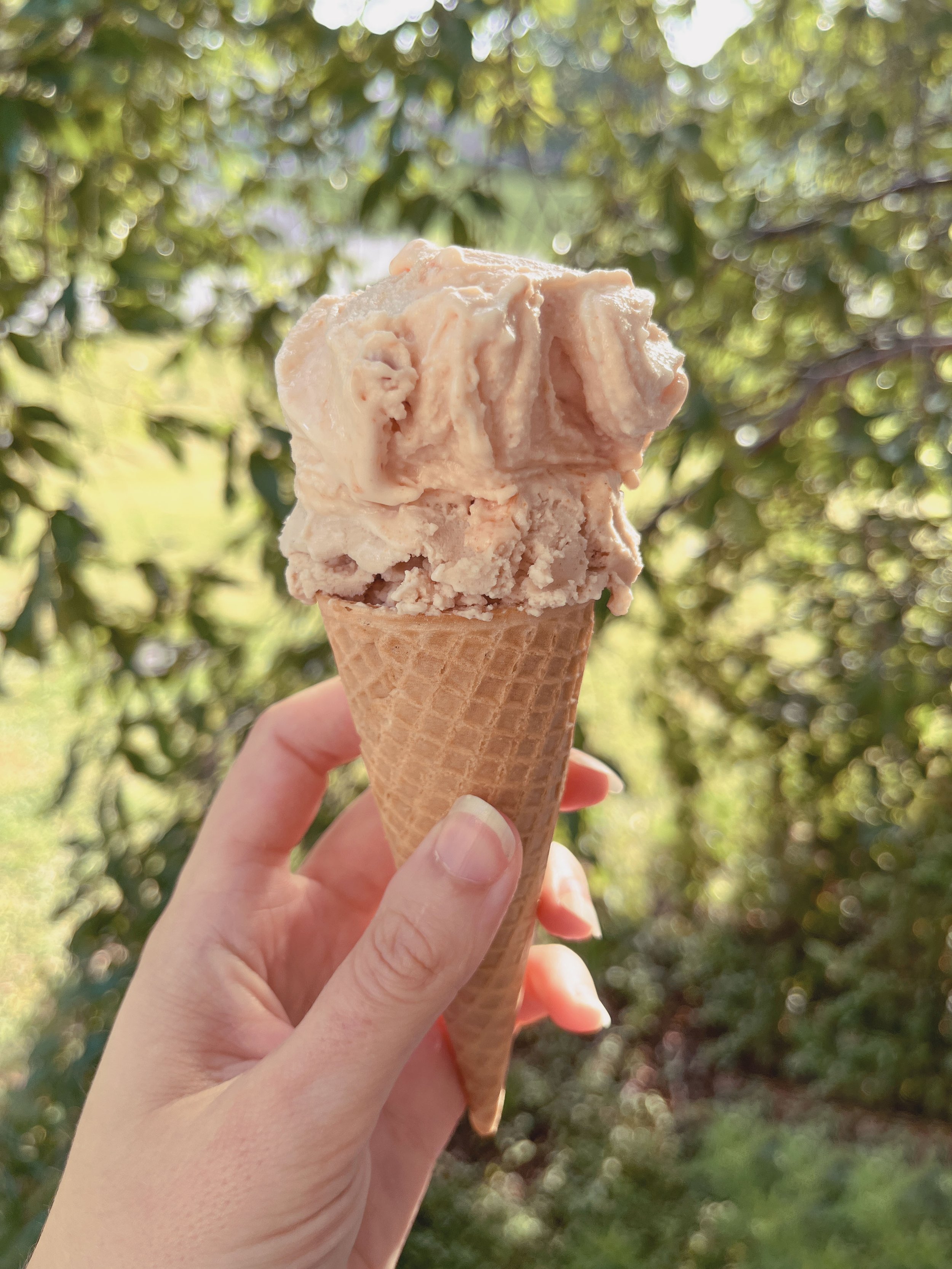 Romeu e Julieta Gelato