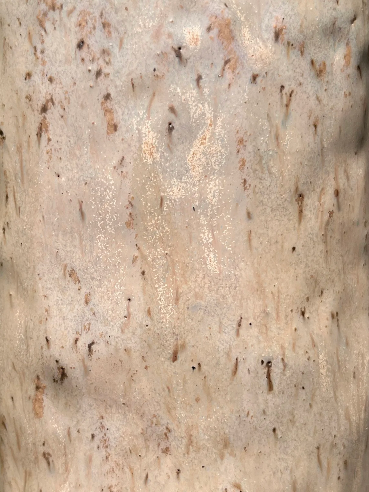 IMG_1606.png