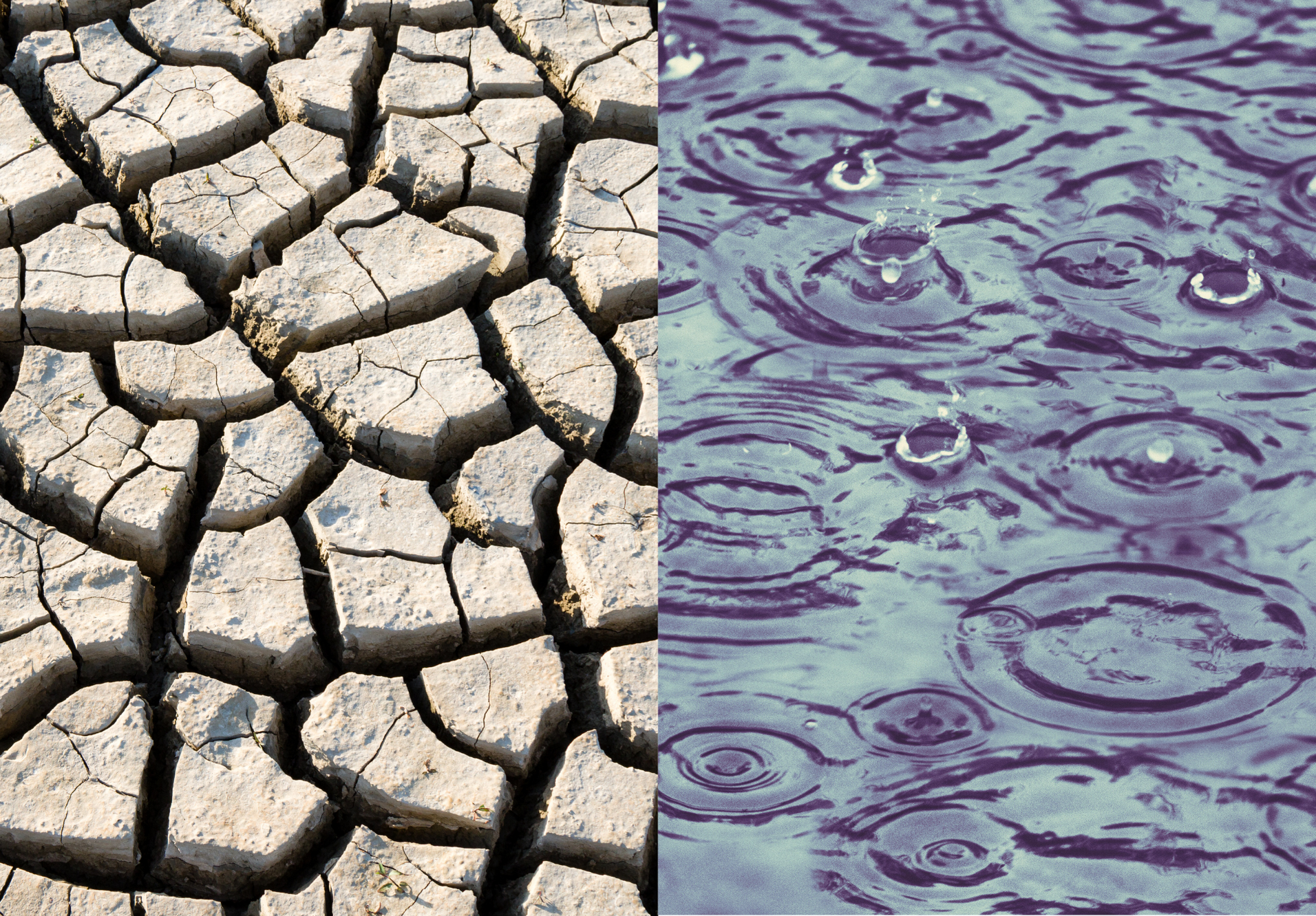 Drought, Deluge, or Both?  Navigating Hydrological Cycle Volatility on a Warming Planet
