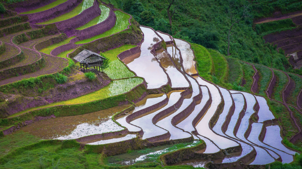 The 6-Month Weather Outlook: Asia-Pacific Edition