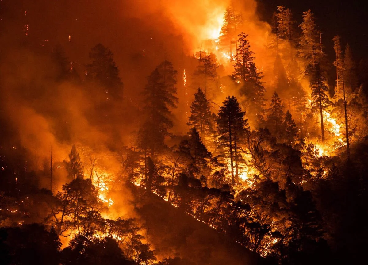 Wildfires on a Warming Planet: Predictions and Impacts Around the World