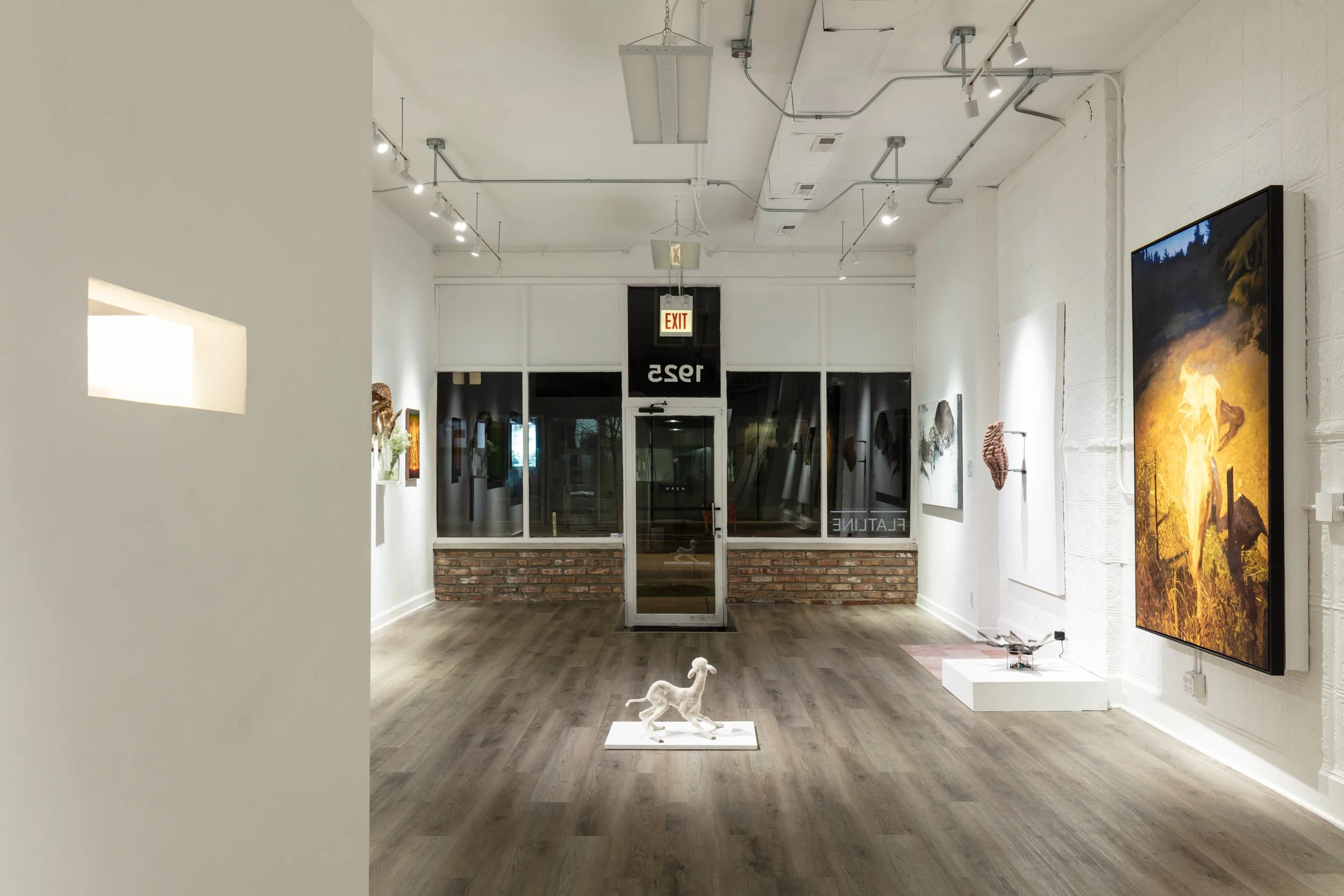 Installation view. 

Photo: Artdoc Chicago. 