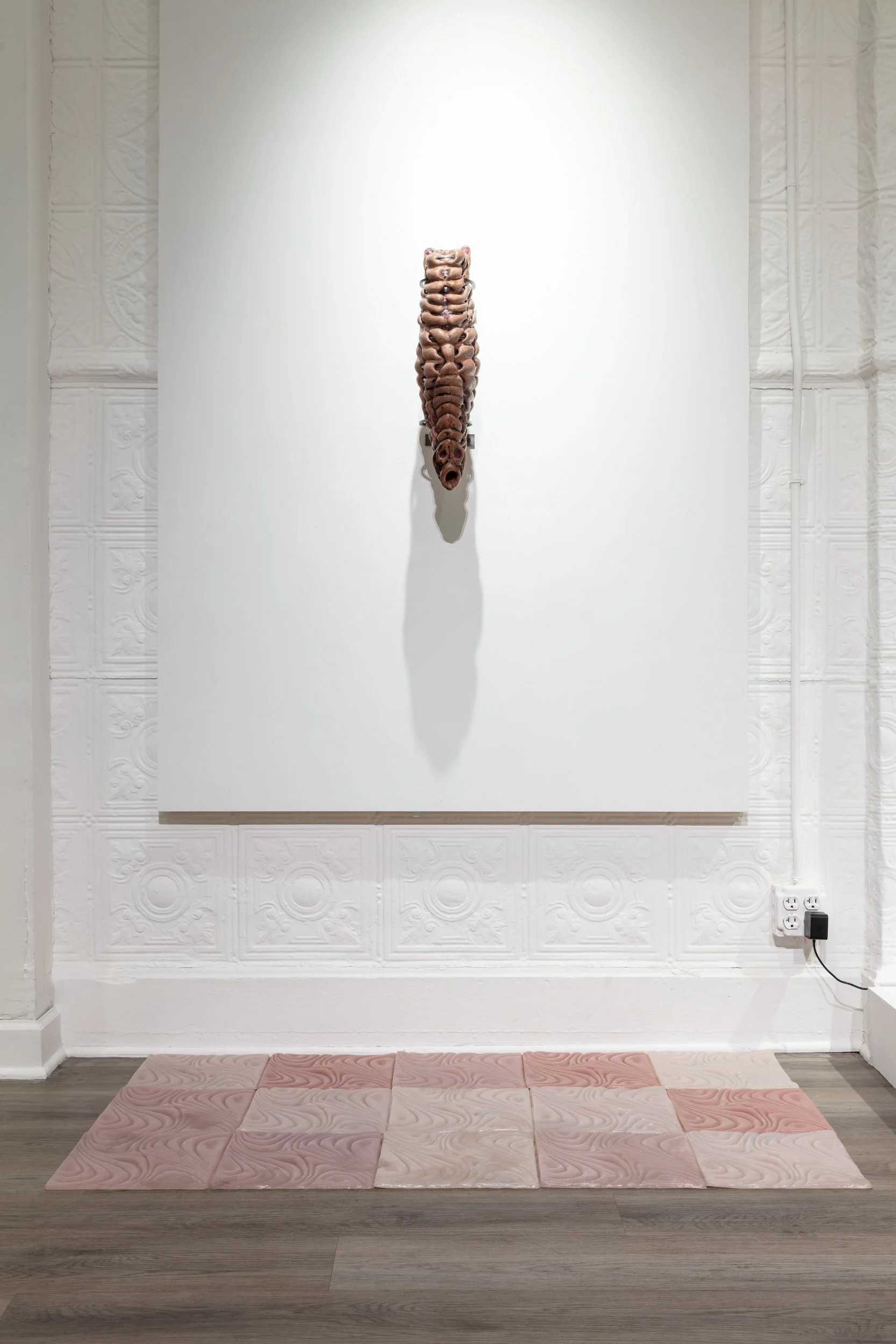 Larvae IV, 2026. Stoneware, glaze, IV medical tubes, silicone and steel. 18 in x 5.5 in x 8.5 in. 
 
The Soft Ground, 2025. Silicone tiles. 9.5 in x 9.5 in (15). 

Photo: Artdoc Chicago. 