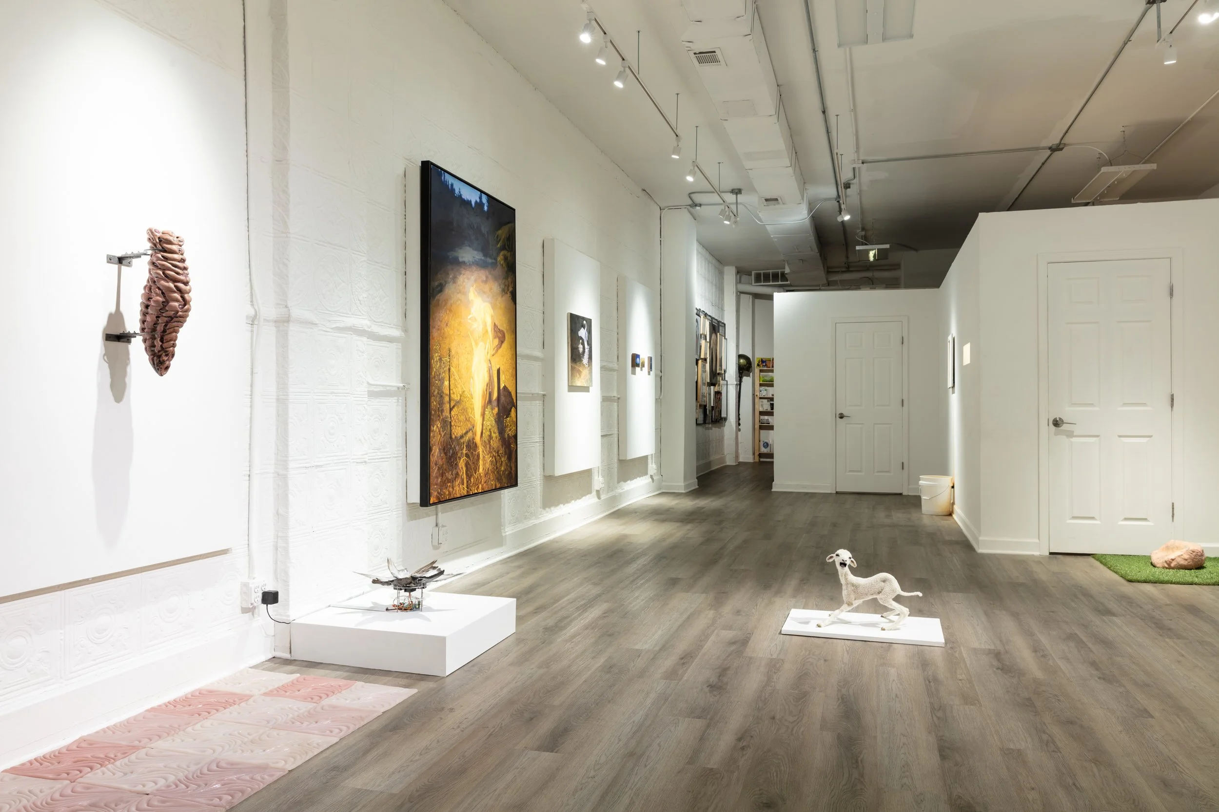 Installation view. 

Photo: Artdoc Chicago. 