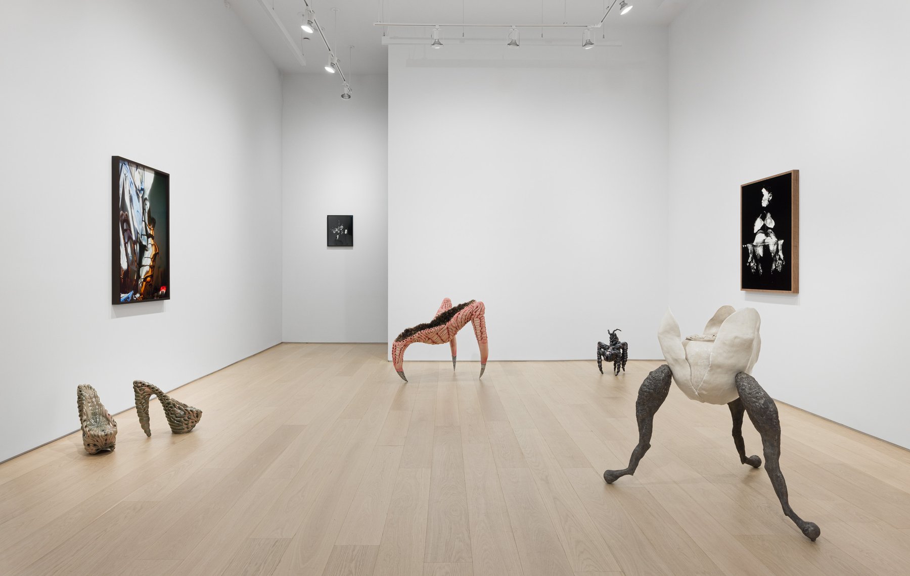 Installation view. 
Photo: Etienne Frossard.